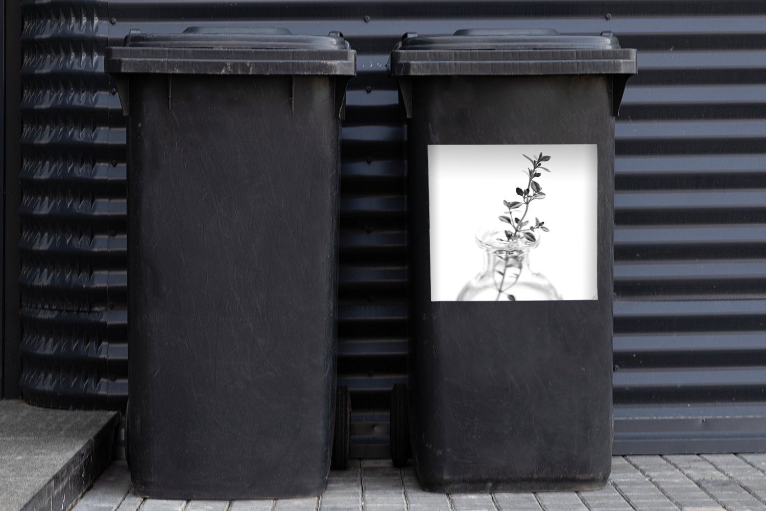 in einer St), einfachen Sticker, einem Mülltonne, vor Wandsticker Abfalbehälter Oregano-Zweig transparenten Container, MuchoWow (1 Mülleimer-aufkleber, Vase