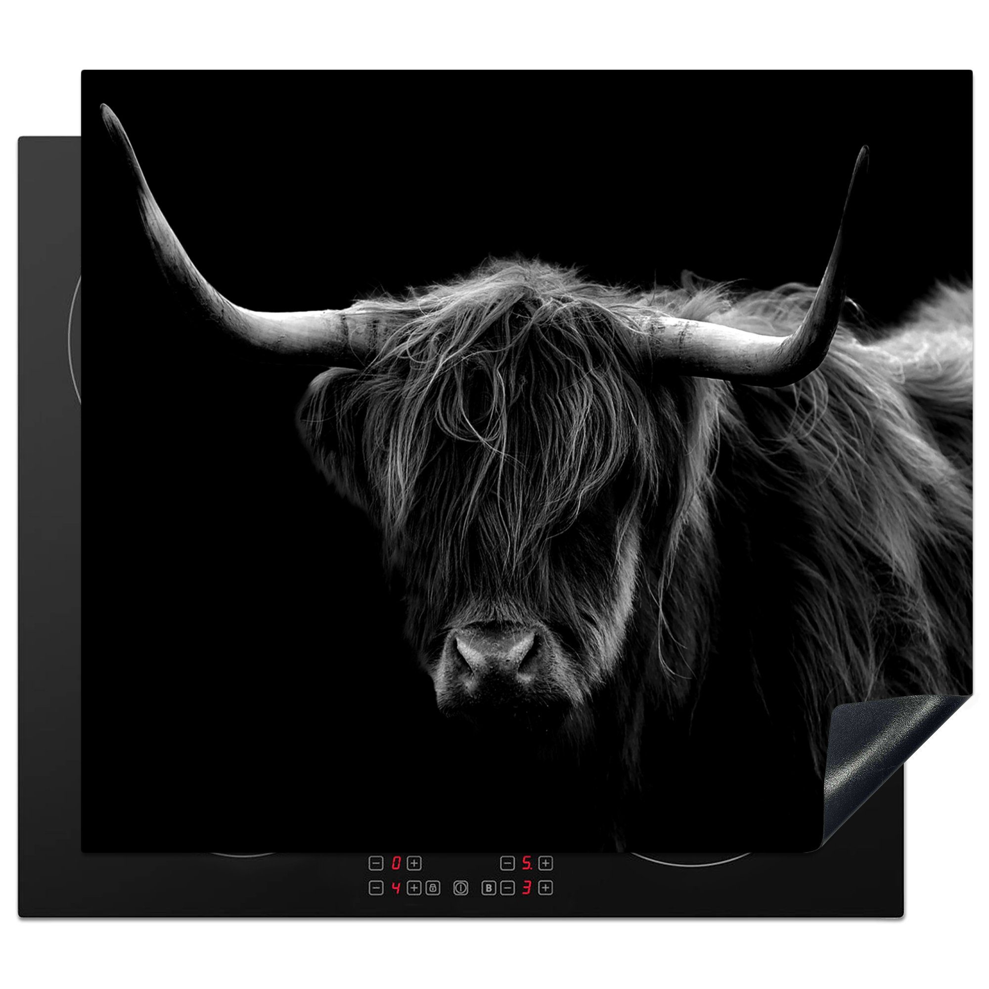 Dekoration - - 58x51 Hörner Schottischer für Küchen Induktionskochfeld - Wild Vinyl, - tlg), MuchoWow cm, Herdblende-/Abdeckplatte Tiere Highlander Induktionsherd, -, Schwarz Natur - (1