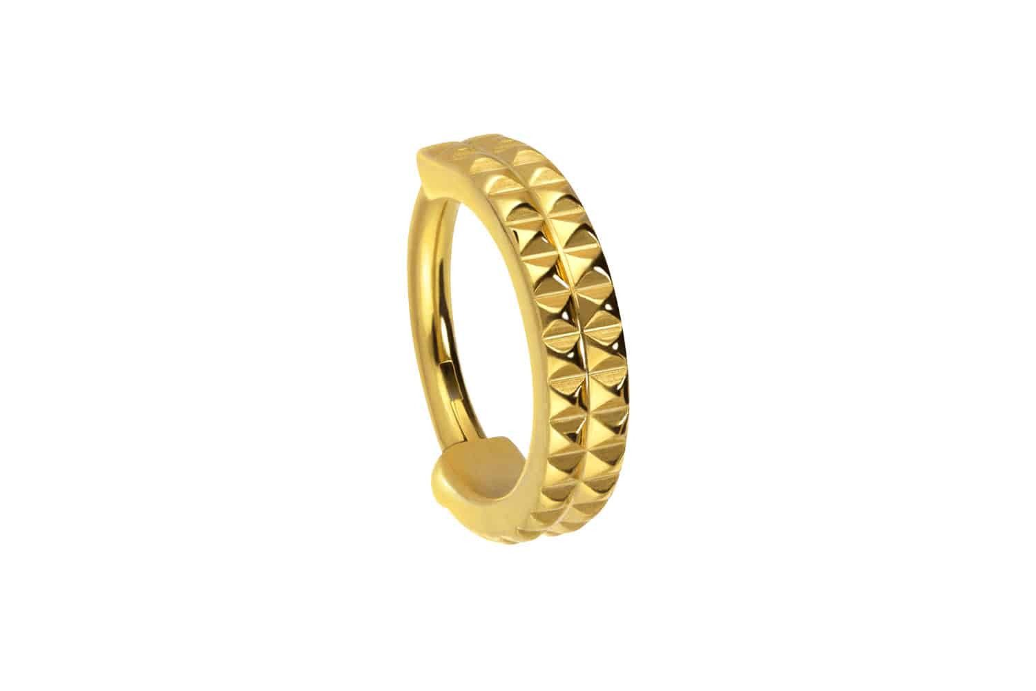 Nasenpiercing Titan Segmentring Clicker NIETEN