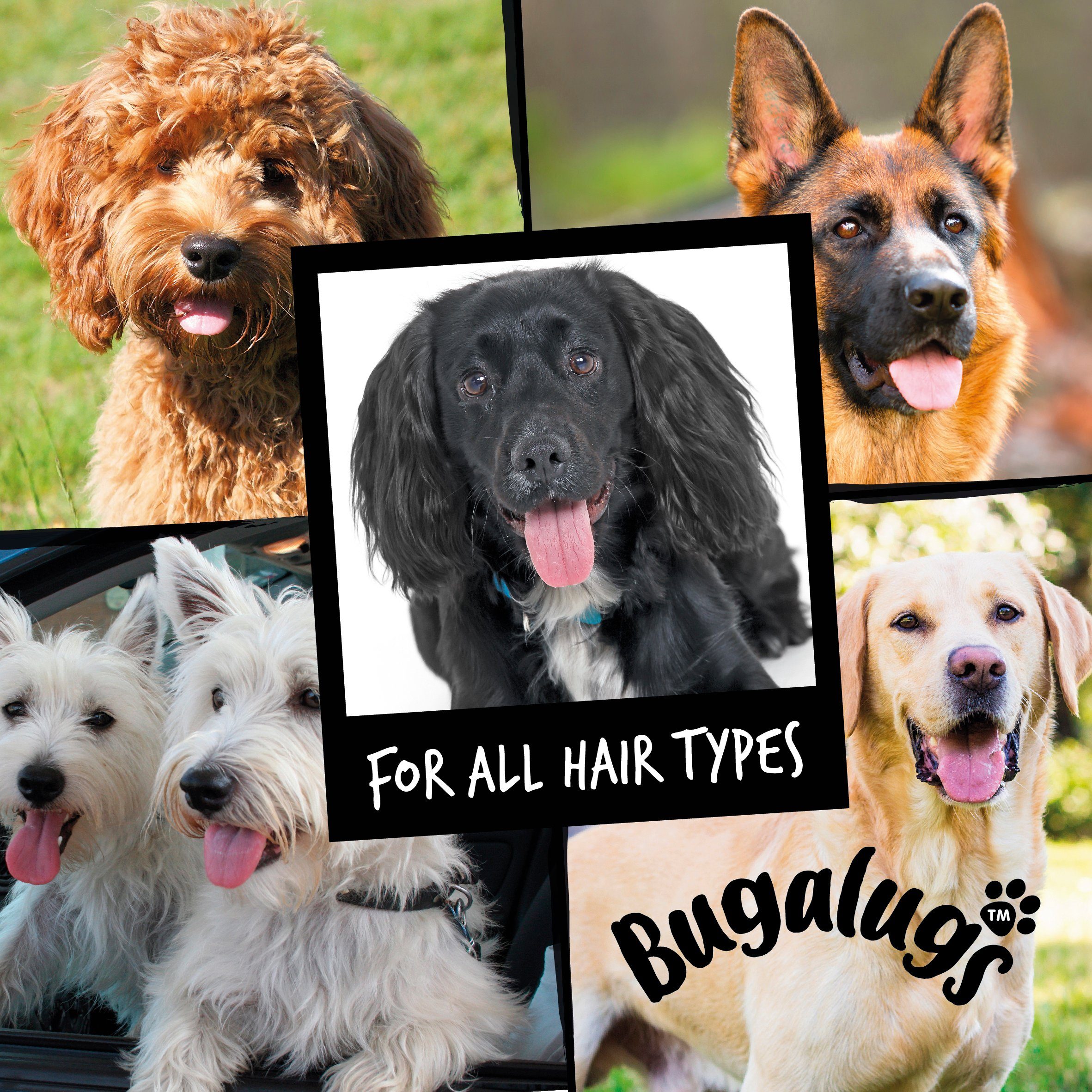 Bugalugs Tiershampoo Bugalugs Hundeshampoo Aloe & Kiwi 250 ml, 250 ml, (1-St), ph neutral, Hunde Shampoo, Lake District