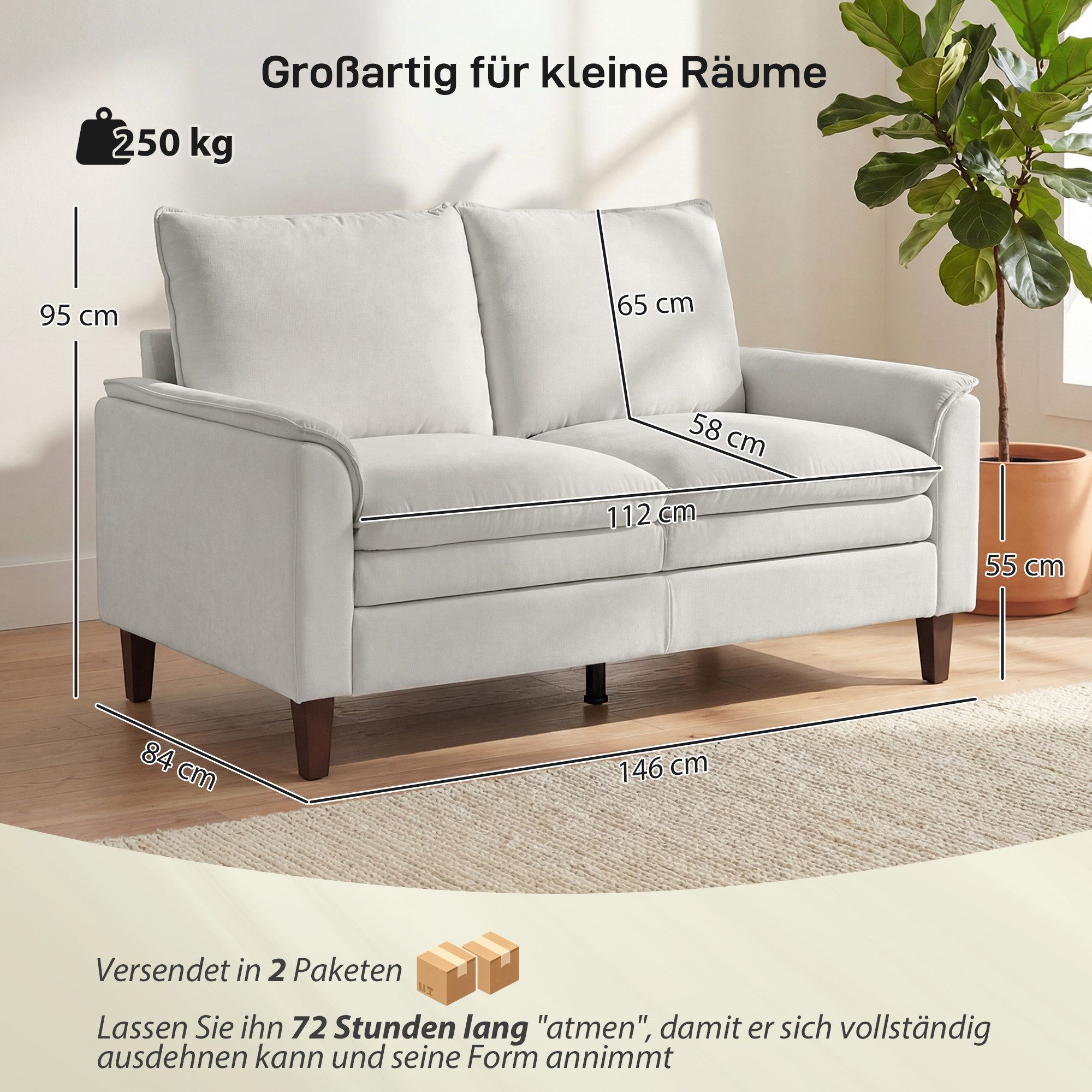HOMCOM Loveseat doppellagiger Polsterung (Spar-Set, 1-St., 2er Sofa), Doppelschicht-Polsterung mit Federkissen