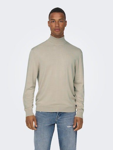 ONLY & SONS Rollkragenpullover ONSWYLER LIFE REG ROLL NECK KNIT NOOS günstig online kaufen