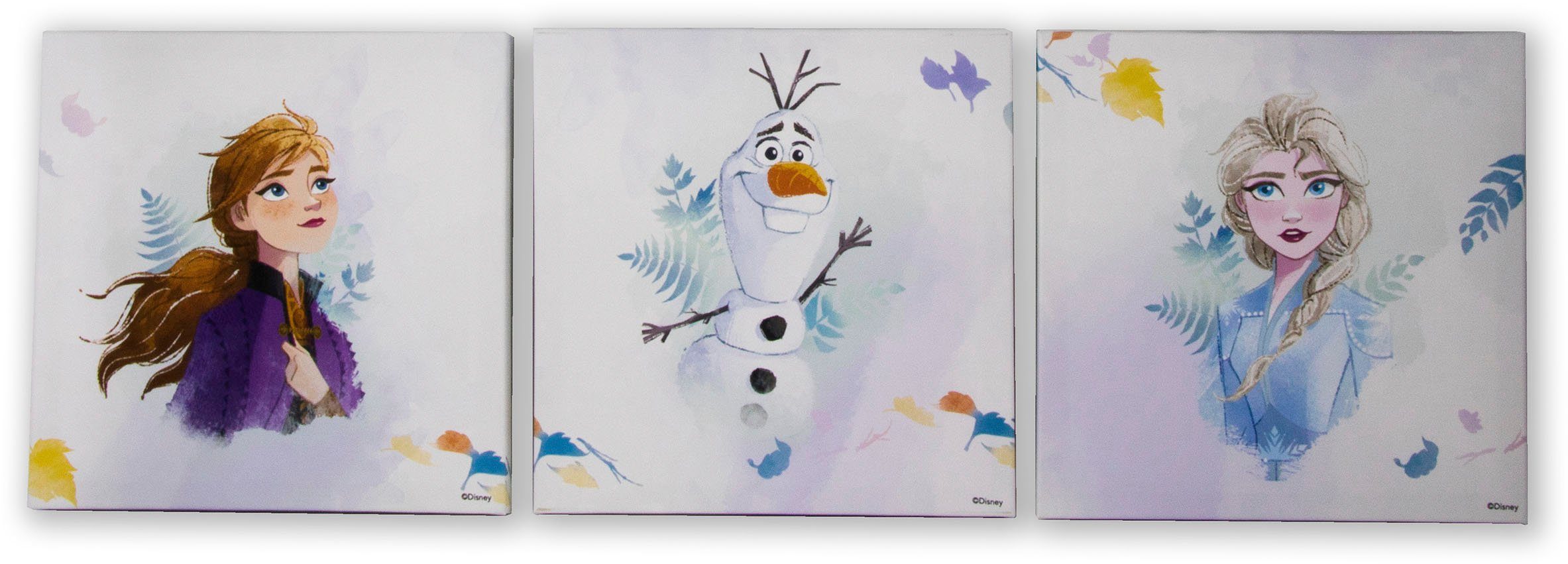 3 Disney Leinwandbild Frozen St) (Set, 2,