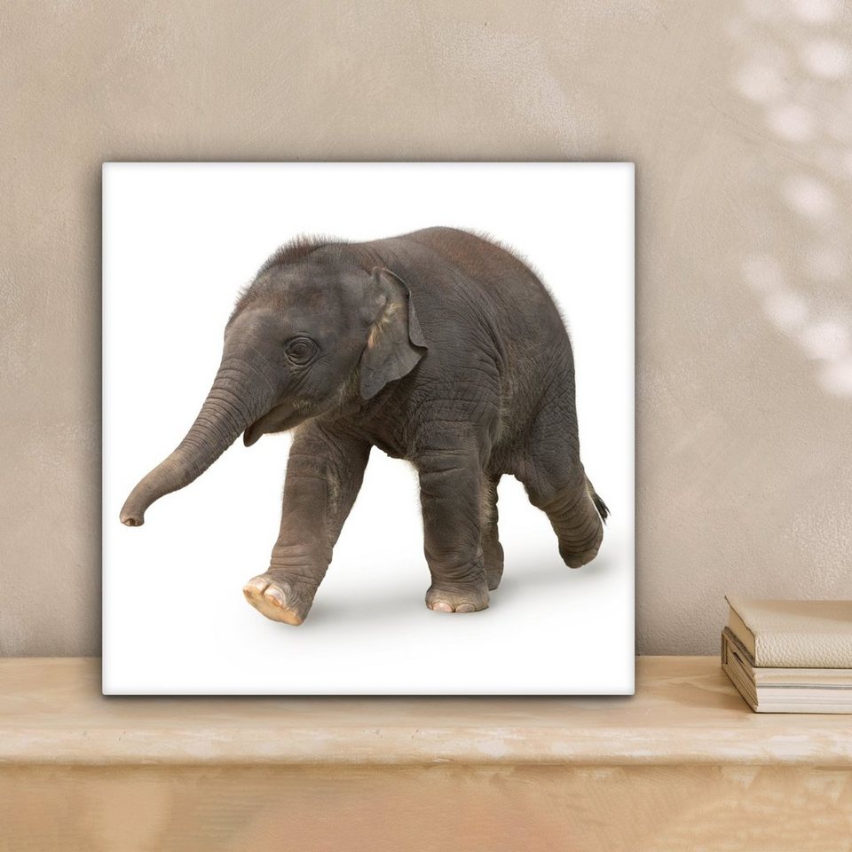 OneMillionCanvasses® Leinwandbild Kleiner Elefant auf weißem Hintergrund, (1  St), Leinwand Bilder für Wohnzimmer Schlafzimmer, 20x20 cm