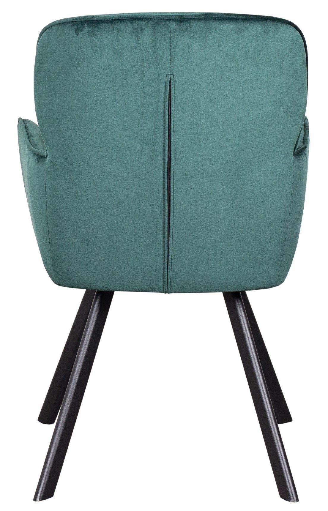 - - - (1-St), - bene Samtbezug - - hohe Rückenlehne dunkelgrün gepolstert Samt Esszimmer - living Sessel Armlehnen Metall-Gestell Treviso
