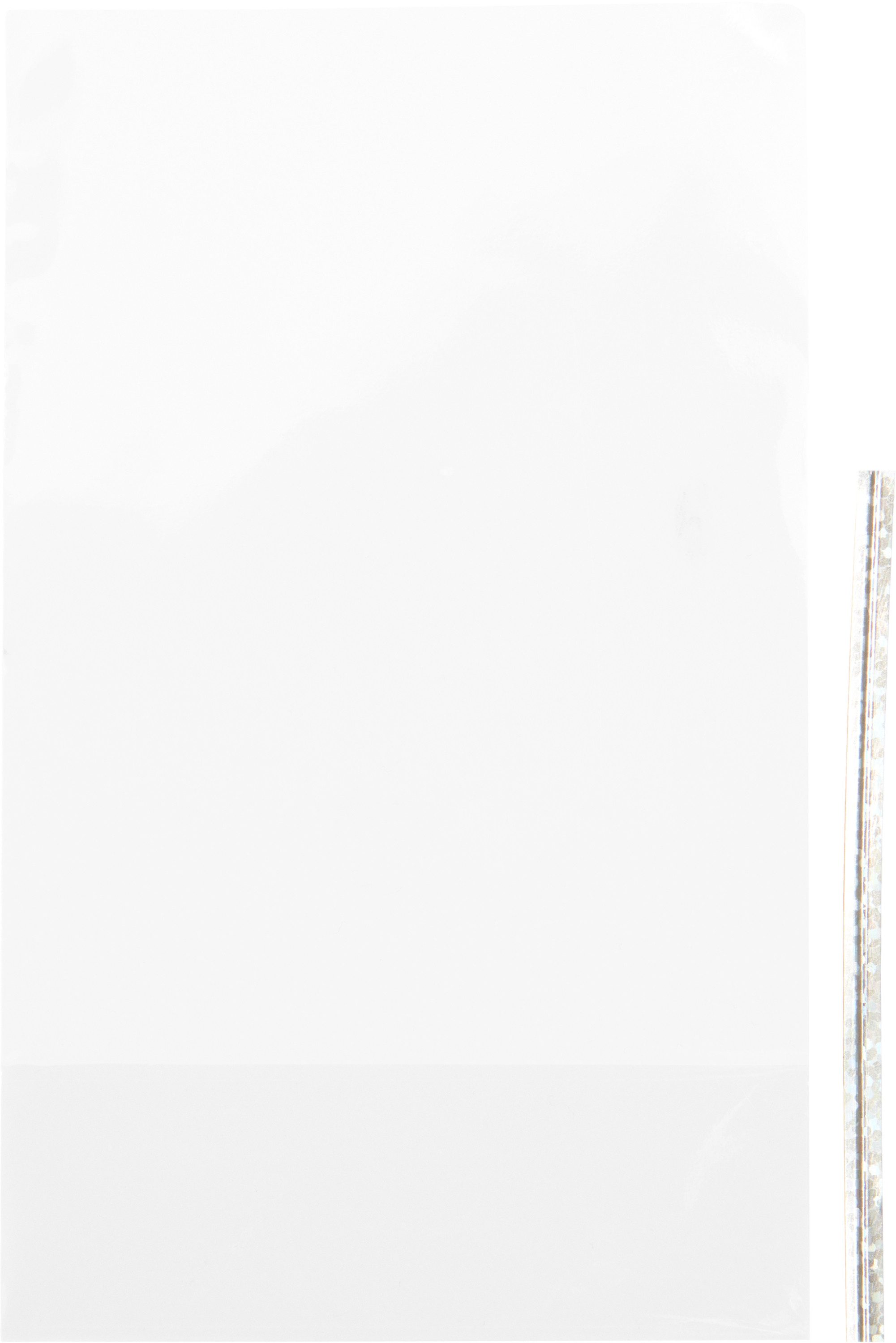 Rico Design Dekorationsfolie Bodenbeutel Transparent mit Verschlusstreifen, 10 Stück