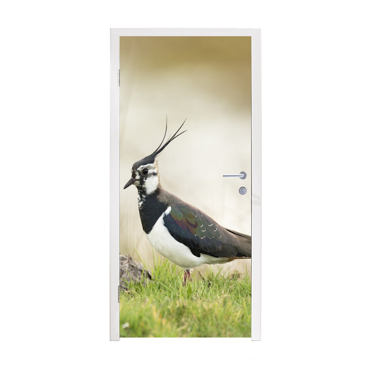 MuchoWow Türtapete Vogel - Gras - Tiere - Natur - Kiebitz, Matt, bedruckt, (1 St), Fototapete für Tür, Türaufkleber, 75x205 cm