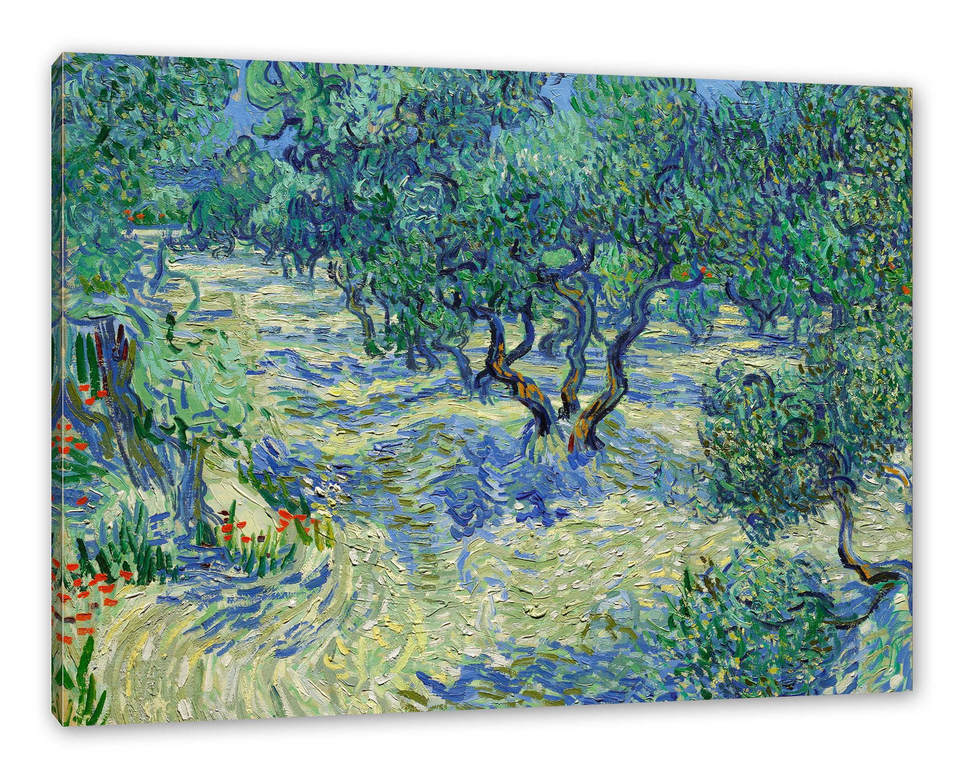 Pixxprint Leinwandbild Vincent Van Gogh - Oliven-Feld, Vincent Van Gogh - Oliven-Feld (1 St), Leinwandbild fertig bespannt, inkl. …