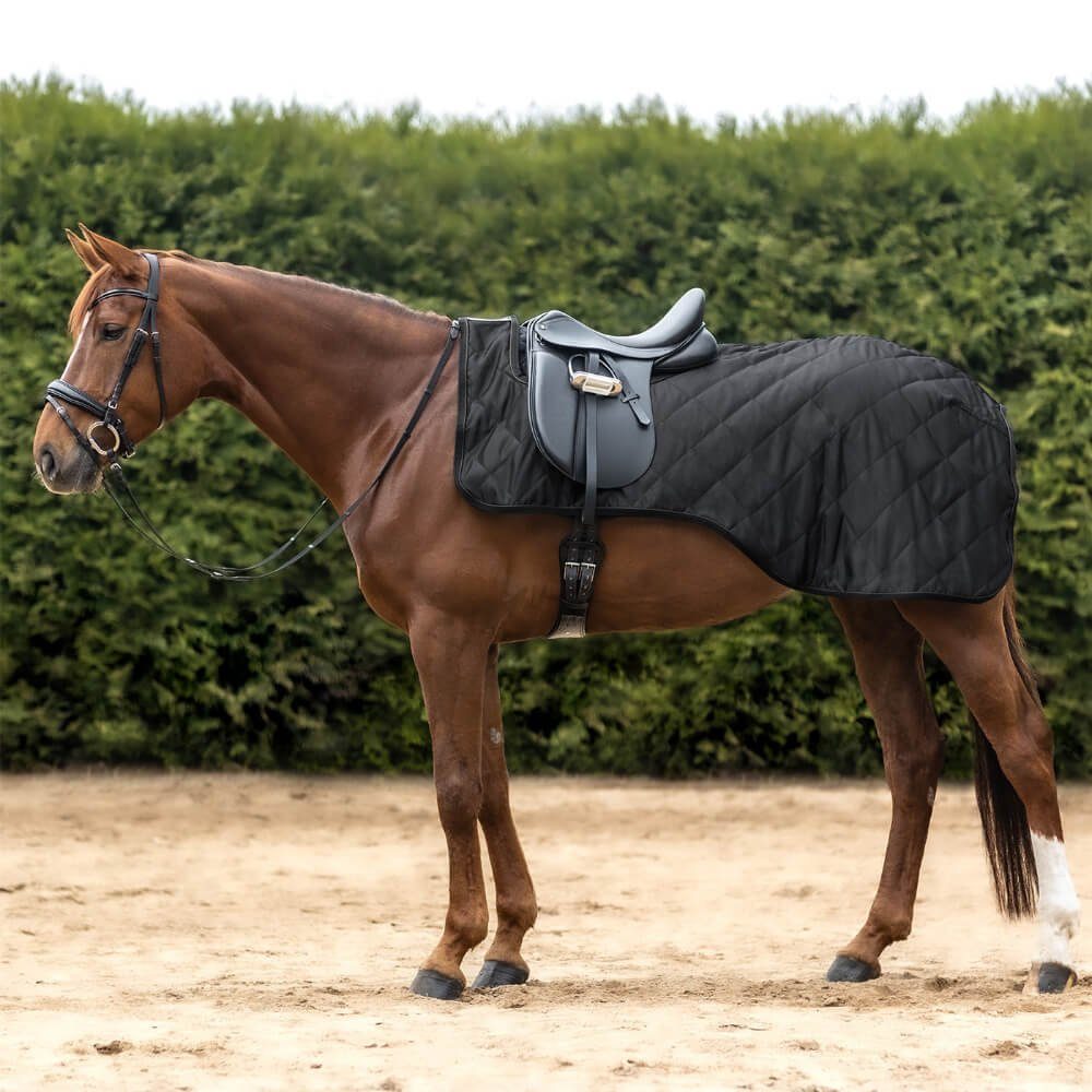 Waldhausen Ausreitdecke Waldhausen Nierendecke Exclusive