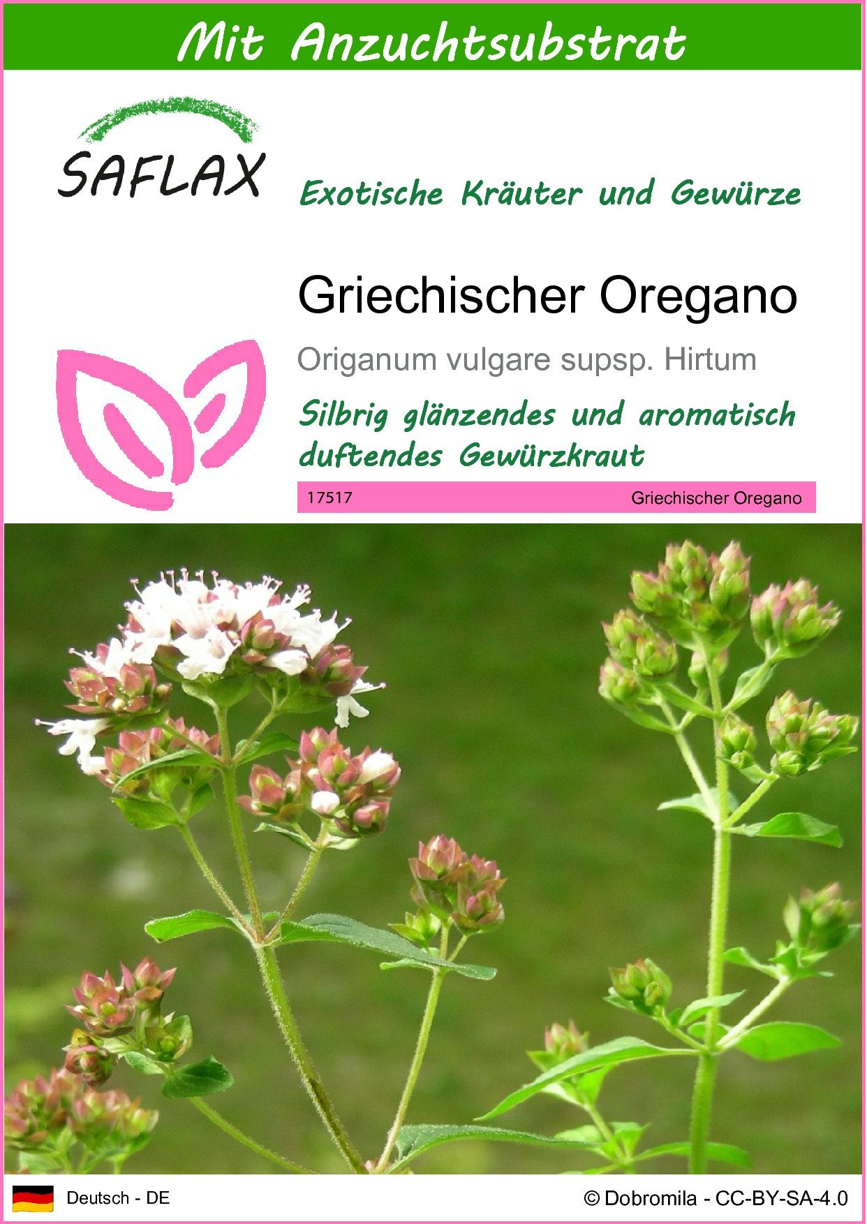 Kräutersamen SAFLAX - Samen und Substrat - Griechischer Oregano