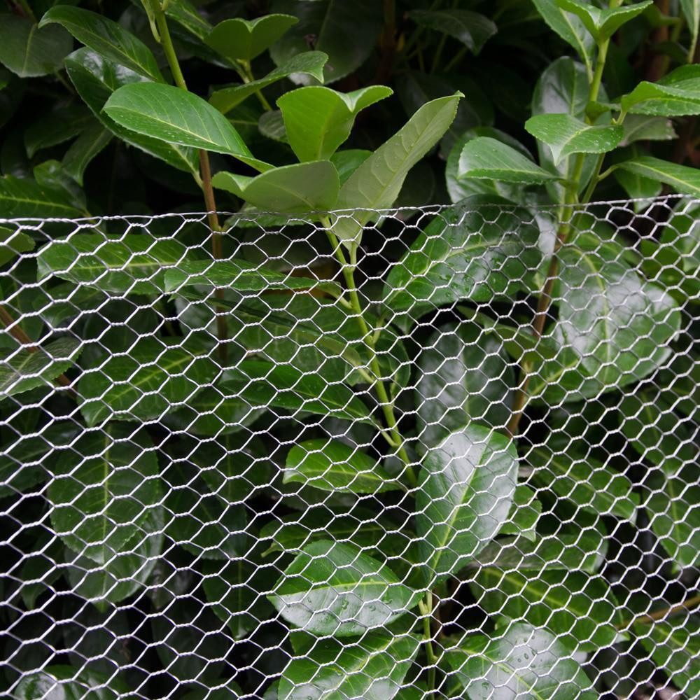 Maschendrahtzaun 25 x 1 m Verzinkt - 6-Eck Maschendrahtgitter Garten - Kaninchendraht