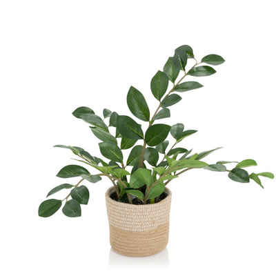 Kunstpflanze Kunstpflanze ZAMIE Kunststoff, Stoff Glücksfeder, hjh OFFICE, Höhe 50.0 cm, Pflanze inkl. Rattankorb