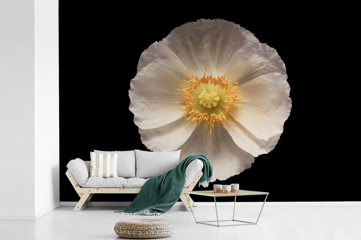 Kinderzimmer, Mohn Weiß, Matt, Fototapete für - Wallpaper Blume Schlafzimmer, Vinyl Tapete bedruckt, - St), (6 MuchoWow Wohnzimmer,