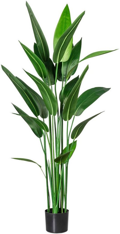cm Höhe Creativ Wassercanna green, Künstliche 140 Wassercanna, Zimmerpflanze