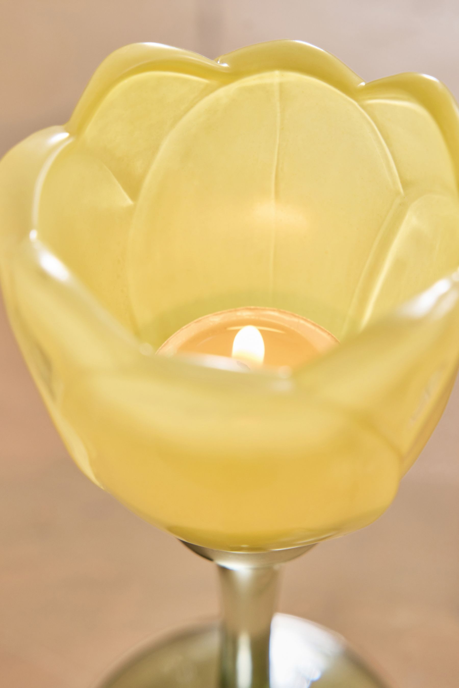 Next Teelichthalter Teelichthalter aus Glas, Blume