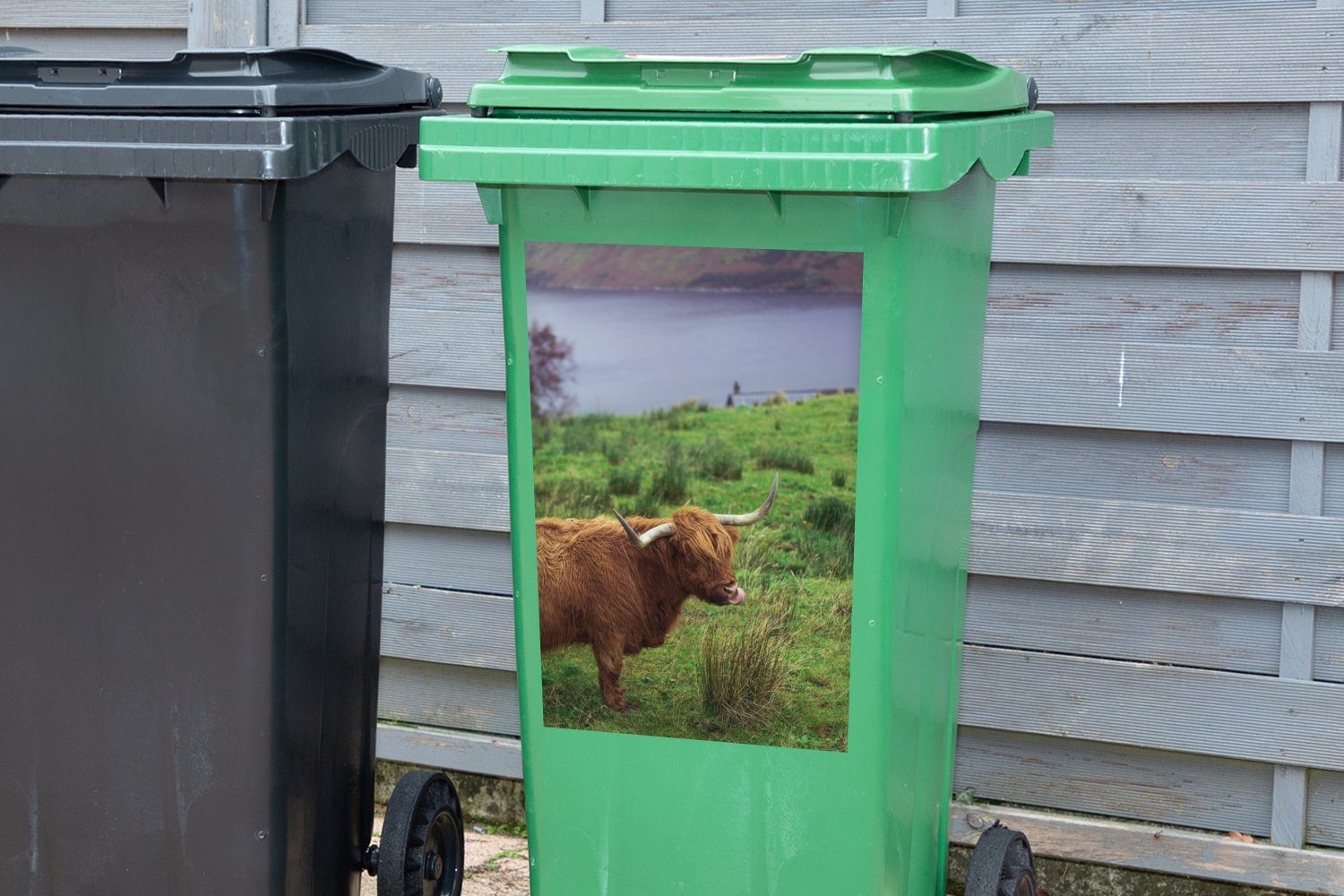 Sticker, Mülltonne, Wasser - (1 St), Highlander Tiere - MuchoWow Schottische Abfalbehälter Mülleimer-aufkleber, Gras - Wandsticker Container,