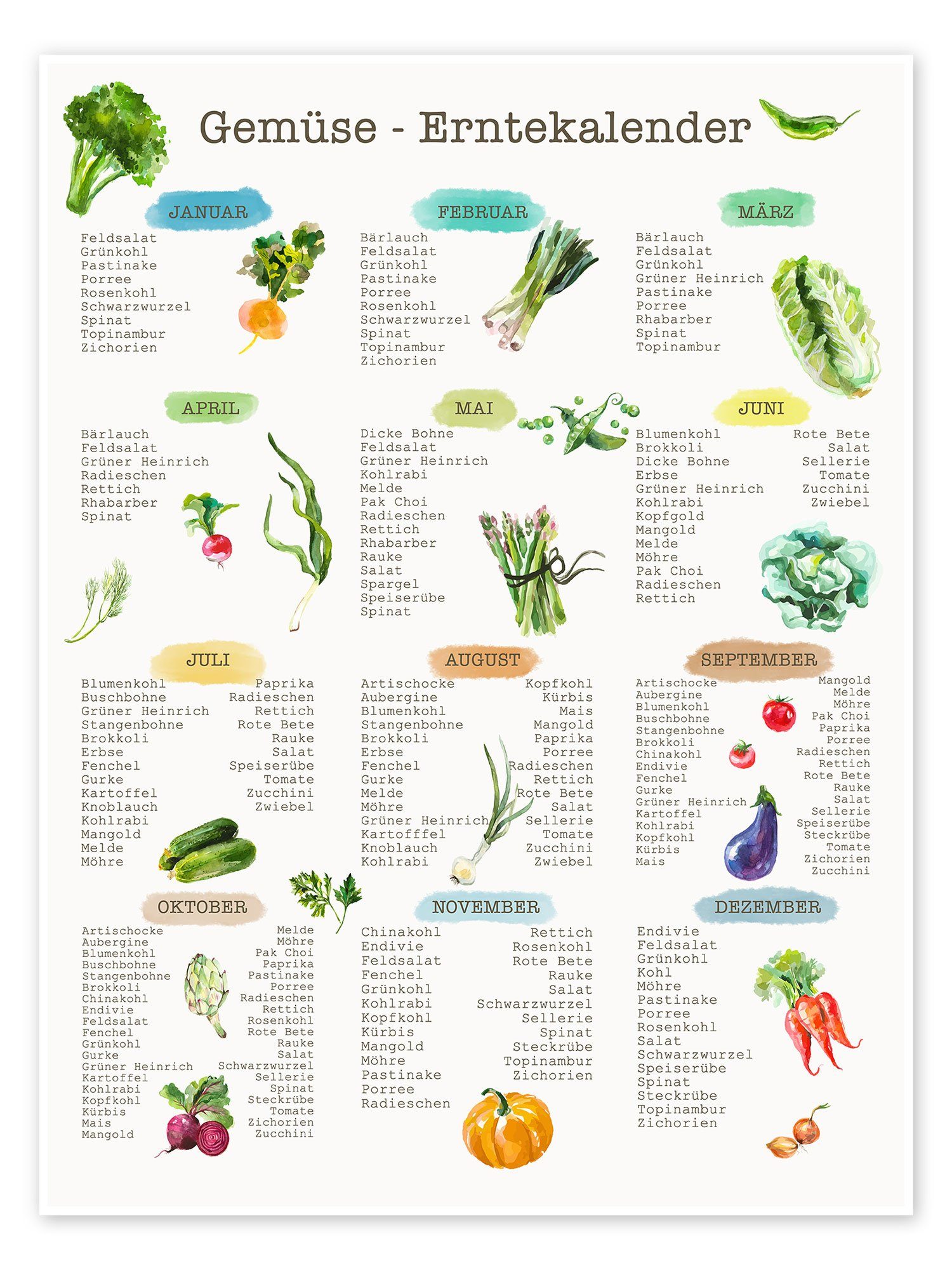 Posterlounge Poster Editors Choice, Erntekalender für Gemüse, Klassenzimmer Vintage Grafikdesign