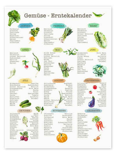 Posterlounge Poster Editors Choice, Erntekalender für Gemüse, Klassenzimmer Vintage Grafikdesign
