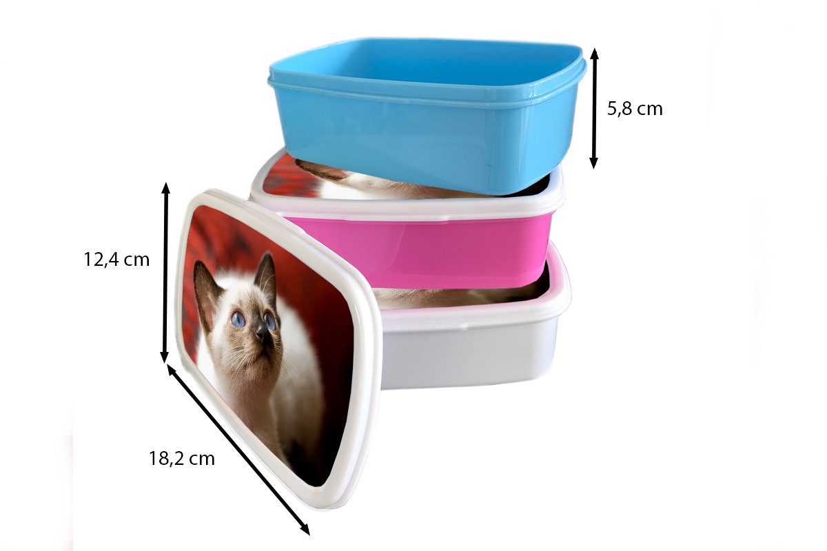 MuchoWow Lunchbox Junge Kunststoff, Brotbox Mädchen Siamkatze weiß (2-tlg), und auf, schaut für und für Kinder Erwachsene, Jungs Brotdose