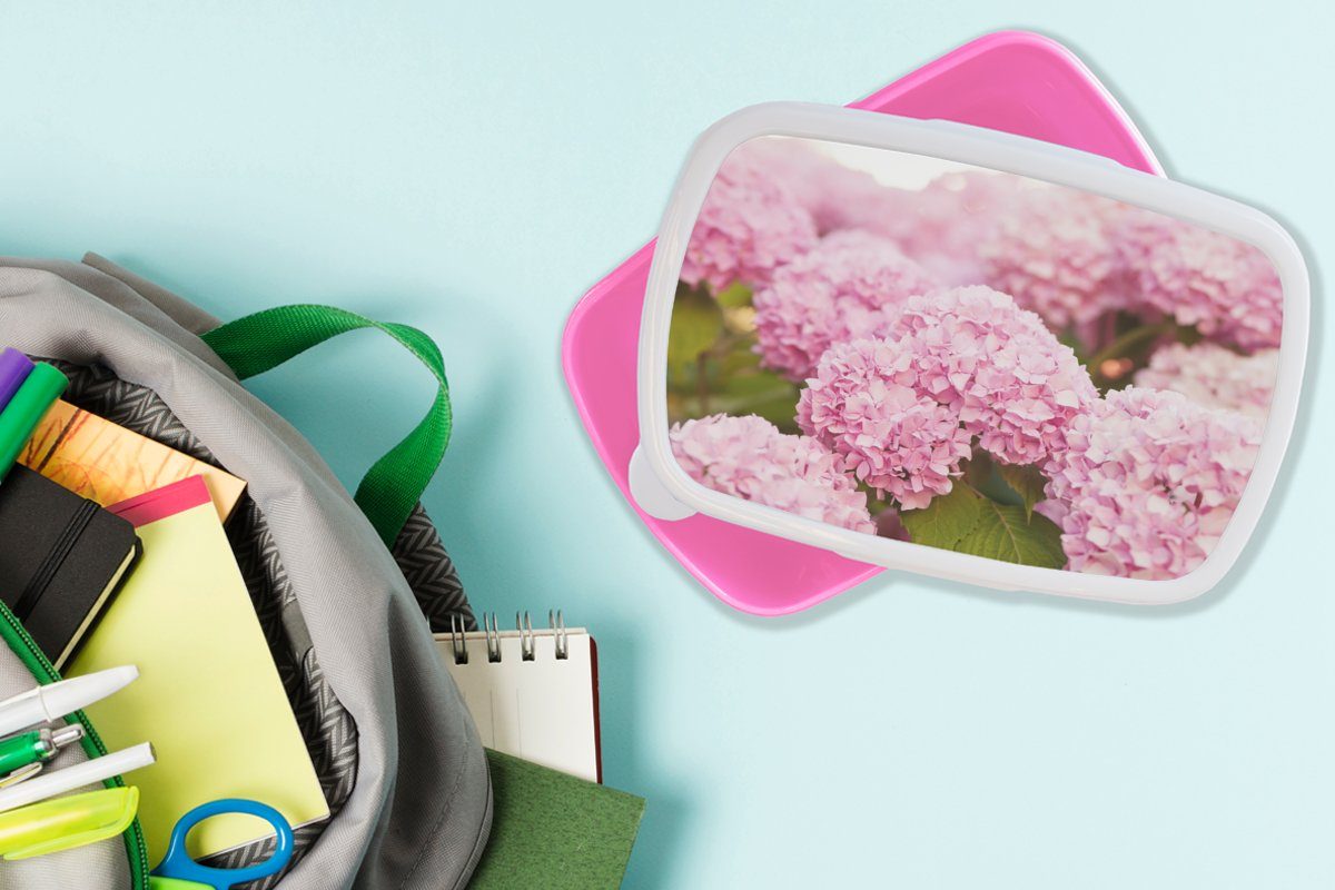 Hortensie, (2-tlg), Rosa Lunchbox MuchoWow Busch - Blumen Brotbox Brotdose für Snackbox, Mädchen, - Kunststoff Kinder, Kunststoff, Erwachsene, -