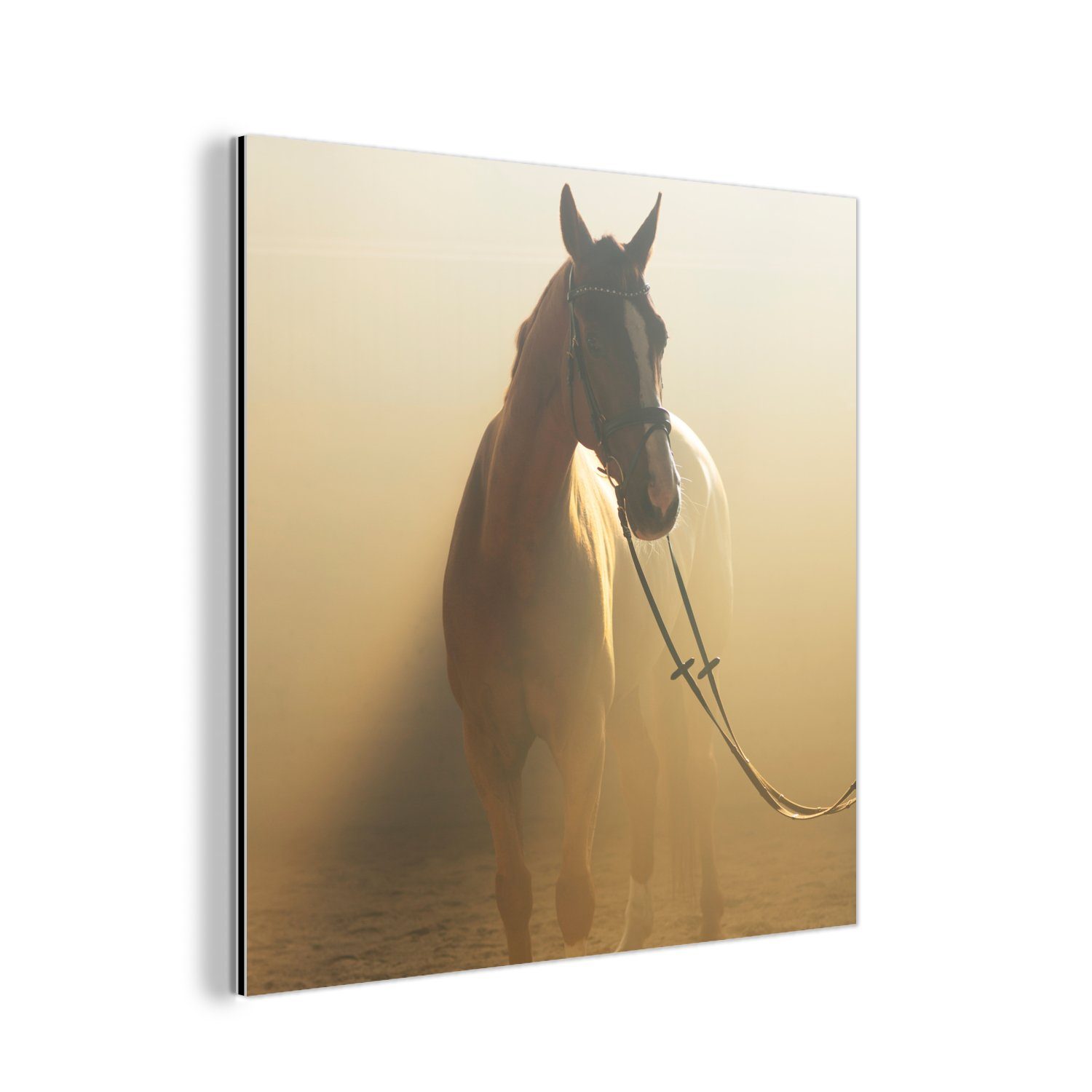 MuchoWow St), - Gemälde Metall, Pferd (1 deko Aluminium - Alu-Dibond-Druck, aus Sand, Metallbild Licht