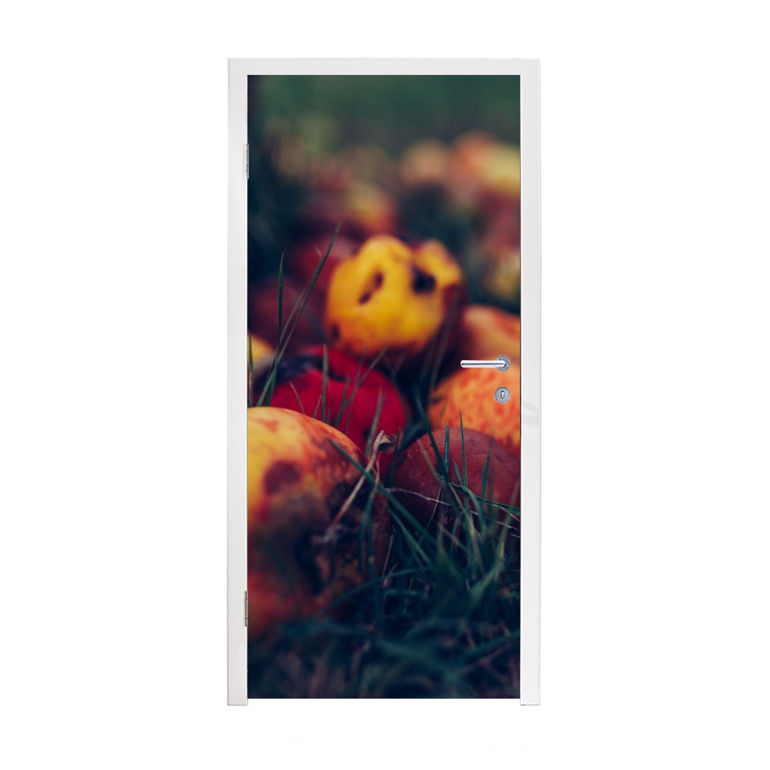 MuchoWow Türtapete Landdekoration - für Türaufkleber, - Fototapete St), Herbst bedruckt, Tür, cm - (1 75x205 Obst, Matt, Apfel