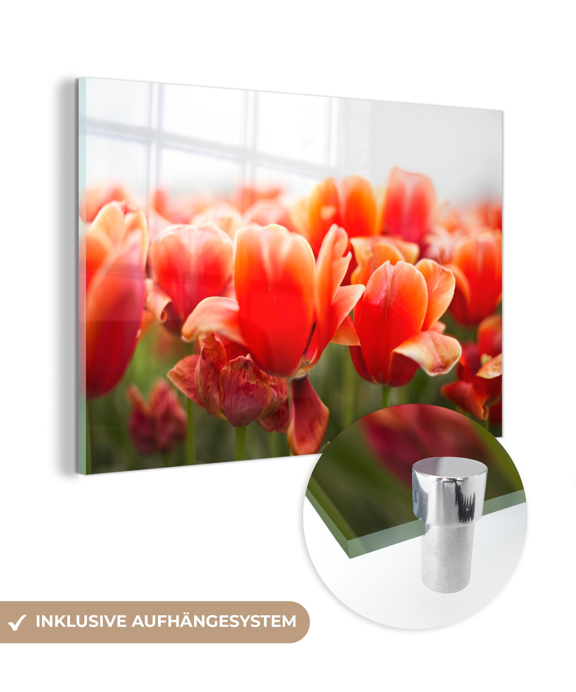 Bild Wohnzimmer St), von & Tulpen, MuchoWow (1 der Acrylglasbilder Acrylglasbild Blätter Schlafzimmer roten