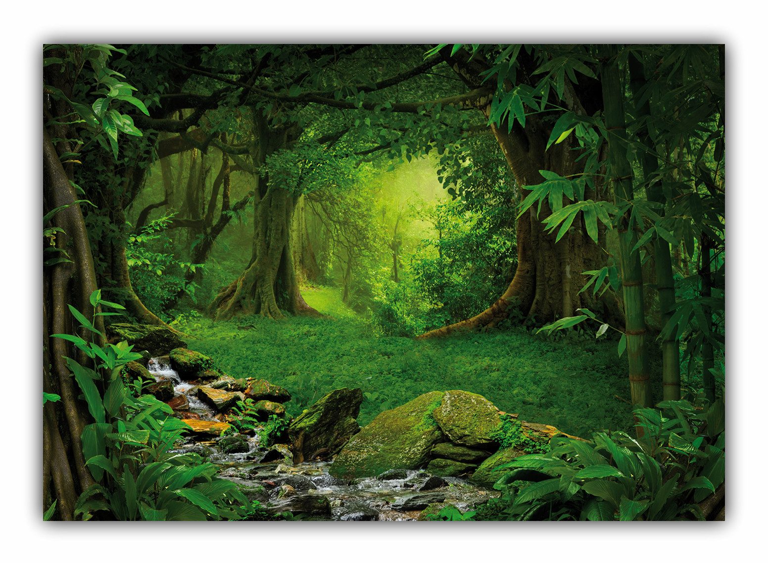 LYSCO Poster XXL Plakat Wald, Wilder grüner tropischer Dschungel mit Fluss und Urwaldriesen (F245) (100 x 70 cm DIN B1), Wandbild, Wandposter (Lieferung gerollt)