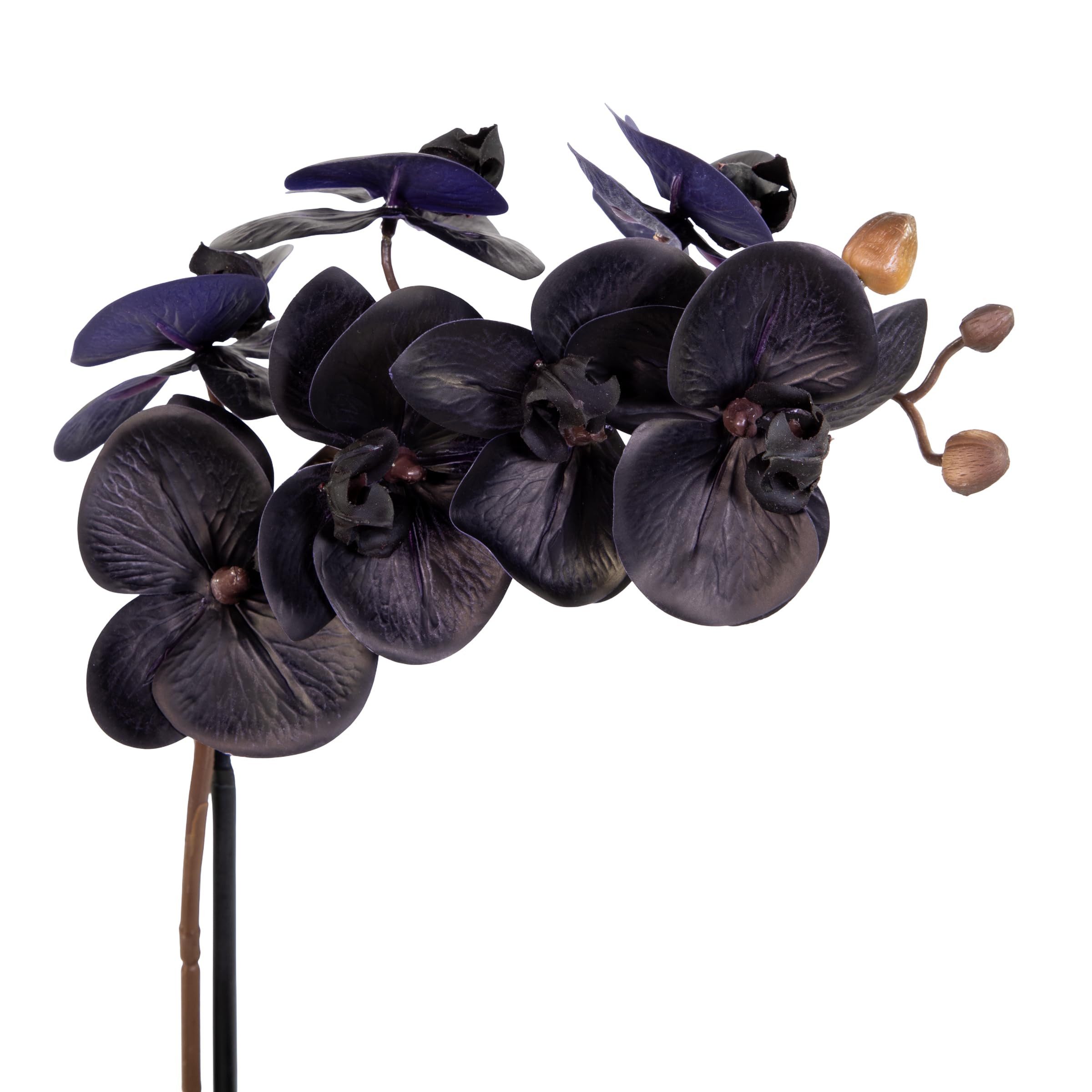Kunstblume Orchidee Real Touch 50x20cm schwarz im Topf GA, Seidenblumen Roß, Höhe 50,00 cm – Bild 2 von 5
