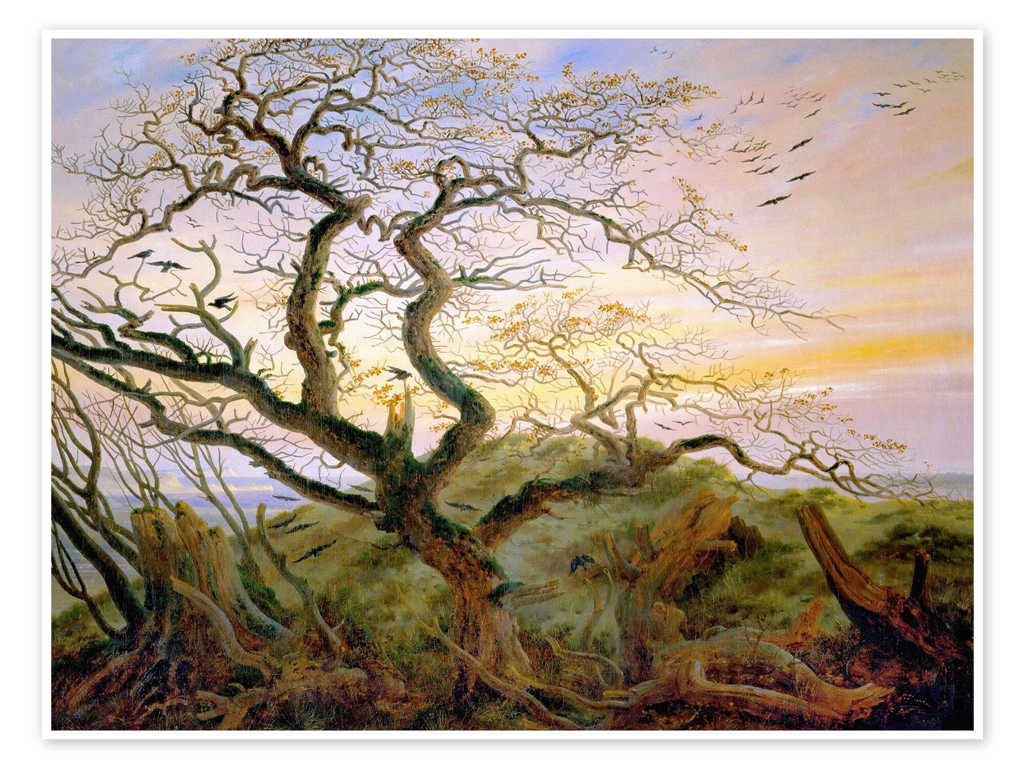 Posterlounge Wandbild Der Krähenbaum, Caspar David Friedrich, erhältlich als Poster, Leinwandbild, Wandsticker oder Acrylglasbild