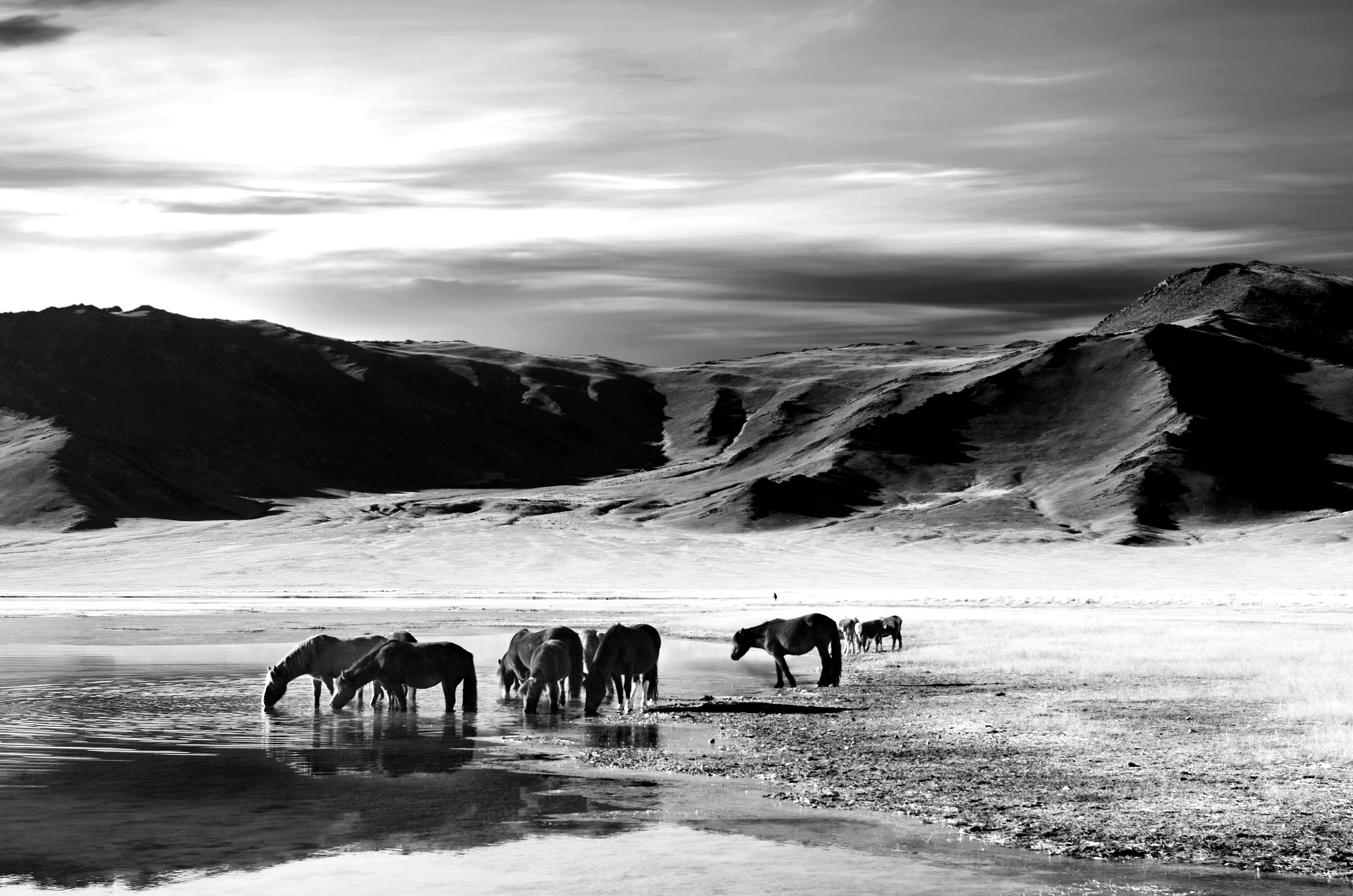 Papermoon Fototapete Landschaft schwarz & weiß
