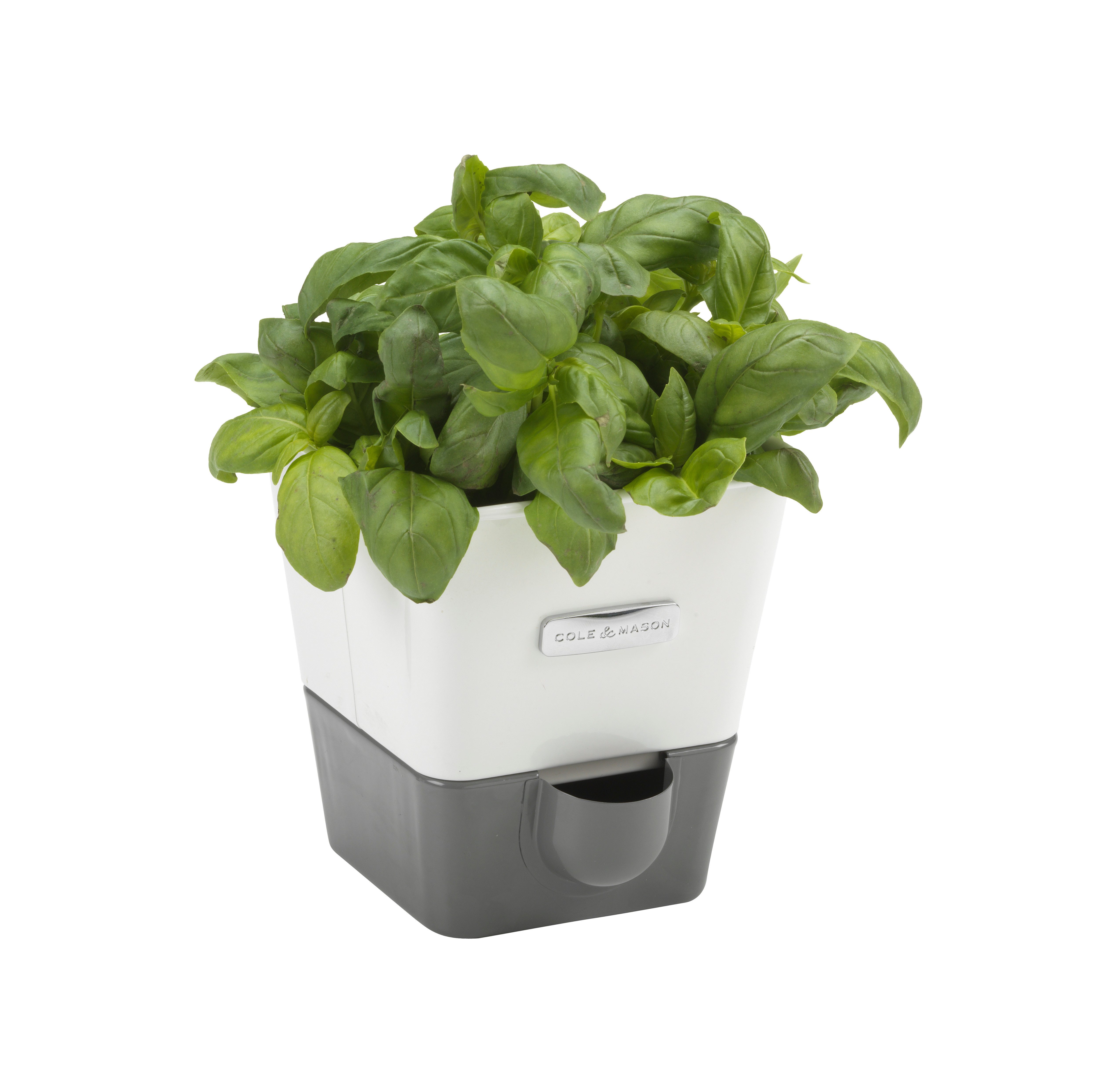 Cole & Mason Kräutertopf selbstbewässernder Burwell, Wasseraufnahme über Hydro-Felt Pad