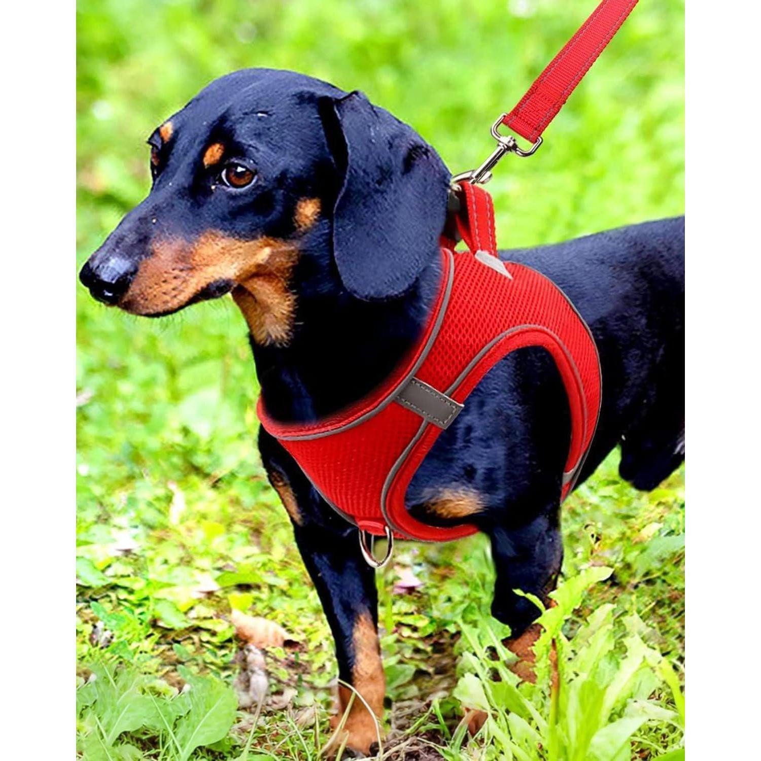 LuxusKollektion Hunde-Geschirr Hundegeschirr Reflektierend Air Mesh Atmungsaktiv M-Brust:42-47cm Rot