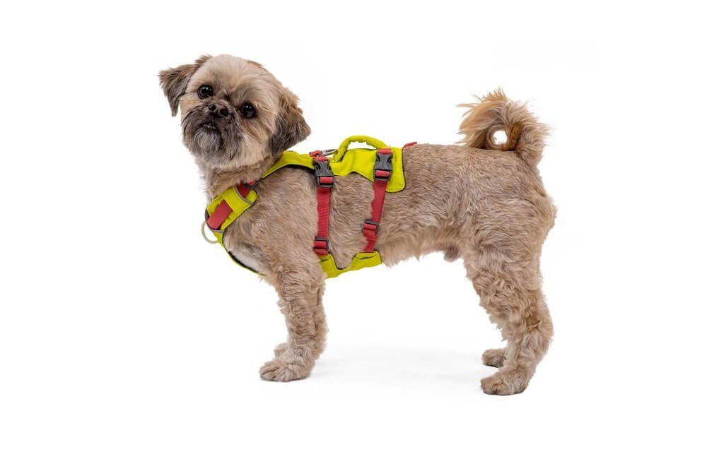 Ruffwear Hunde-Geschirr Flagline Harness günstig online kaufen