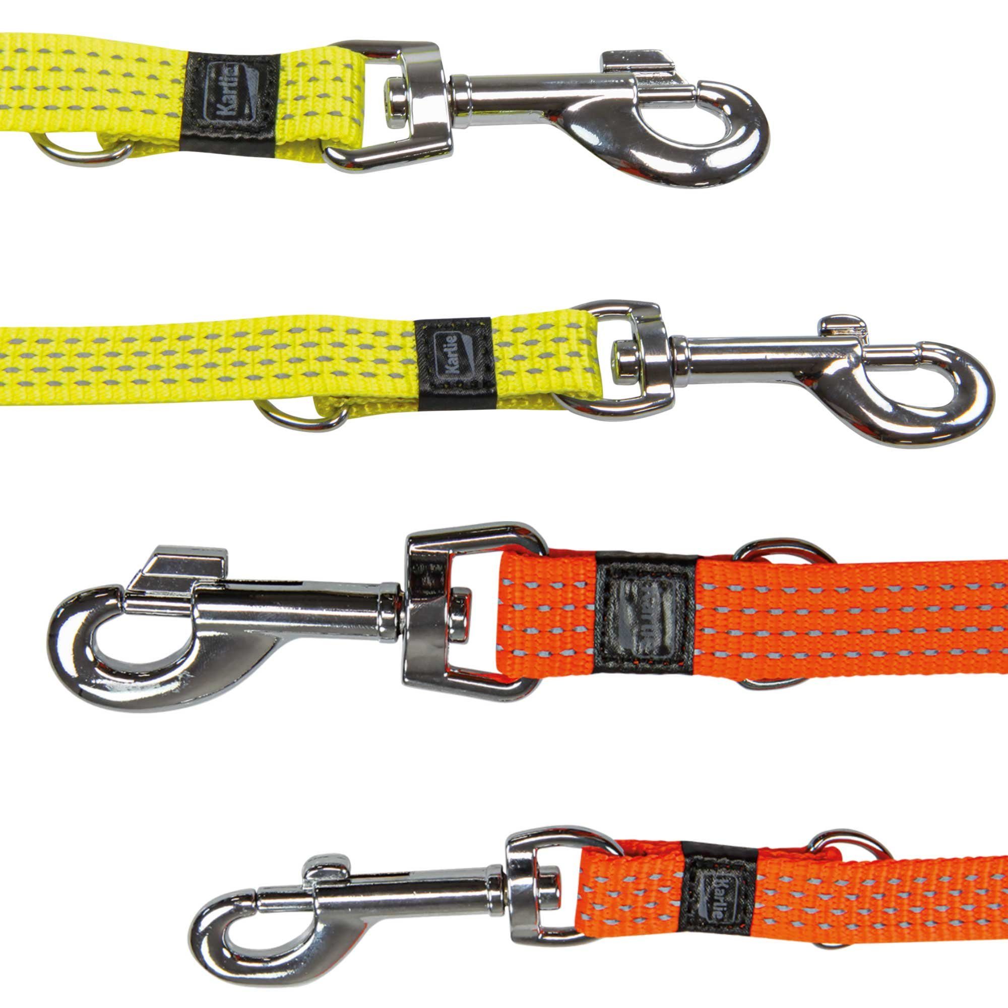 Karlie Führleine Neon & Reflex Hunde Führleine, Nylon (1-tlg), verschieden Größen