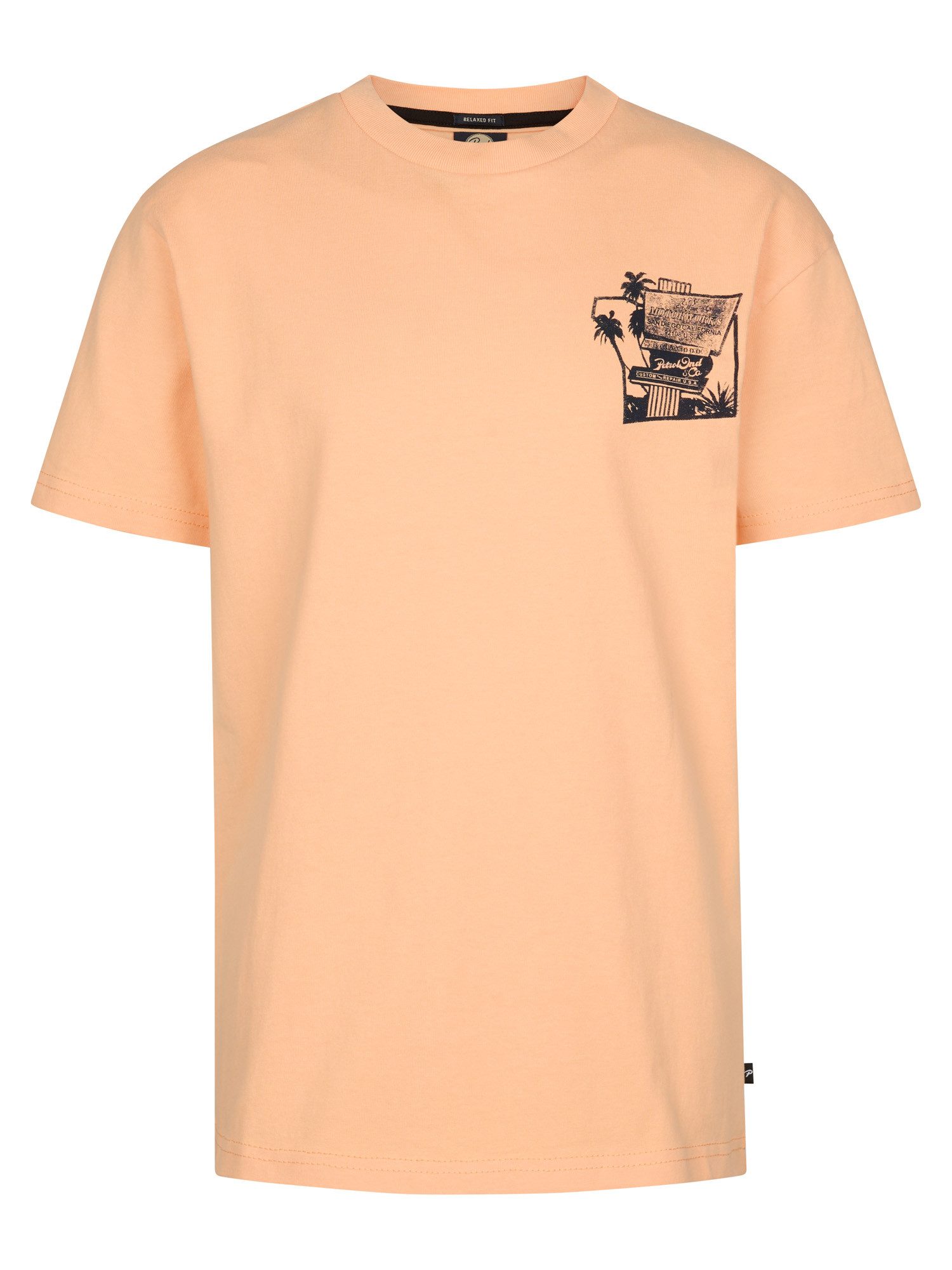 Petrol Industries T-Shirt Mezcal mit Rückenprint