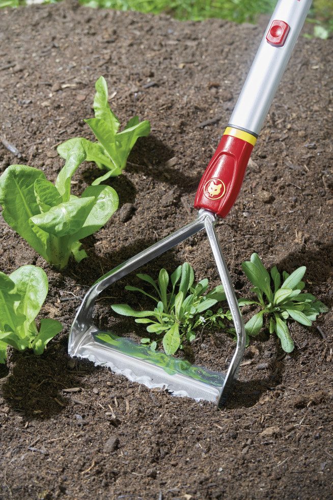 WOLF-Garten Unkrautstecher Wolf Garten Unkrautkuli RF-M 15 cm Arbeitsbreite