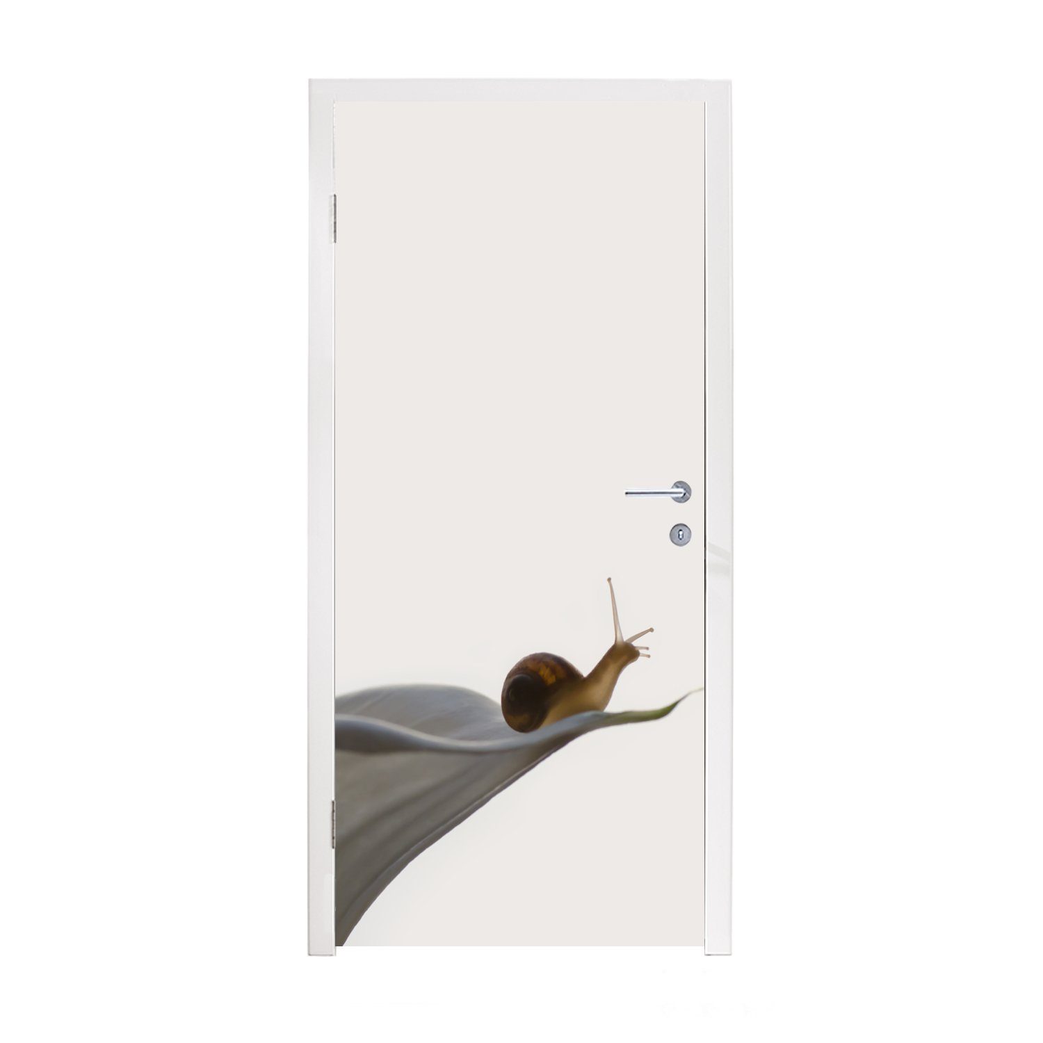 MuchoWow Türtapete Schnecke - Lilie - Grau, Matt, bedruckt, (1 St), Fototapete für Tür, Türaufkleber, 75x205 cm