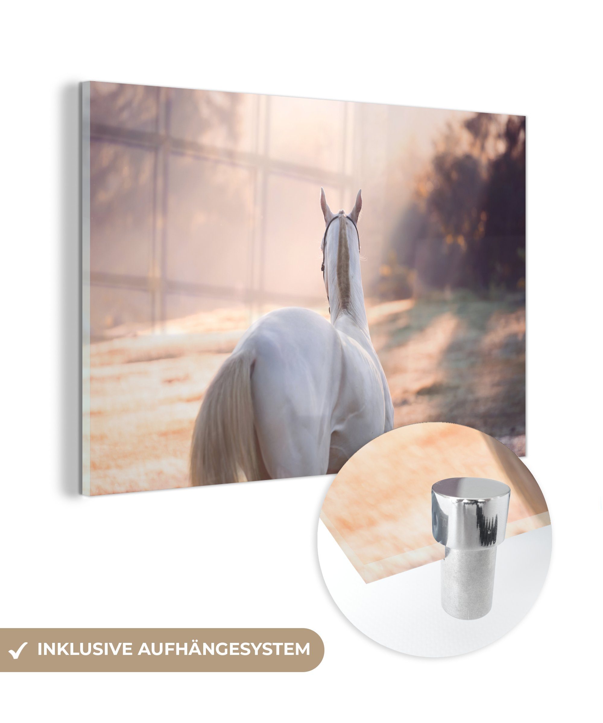 MuchoWow Acrylglasbild (1 Baum, Schlafzimmer Wohnzimmer - Pferde Acrylglasbilder - St), Licht &
