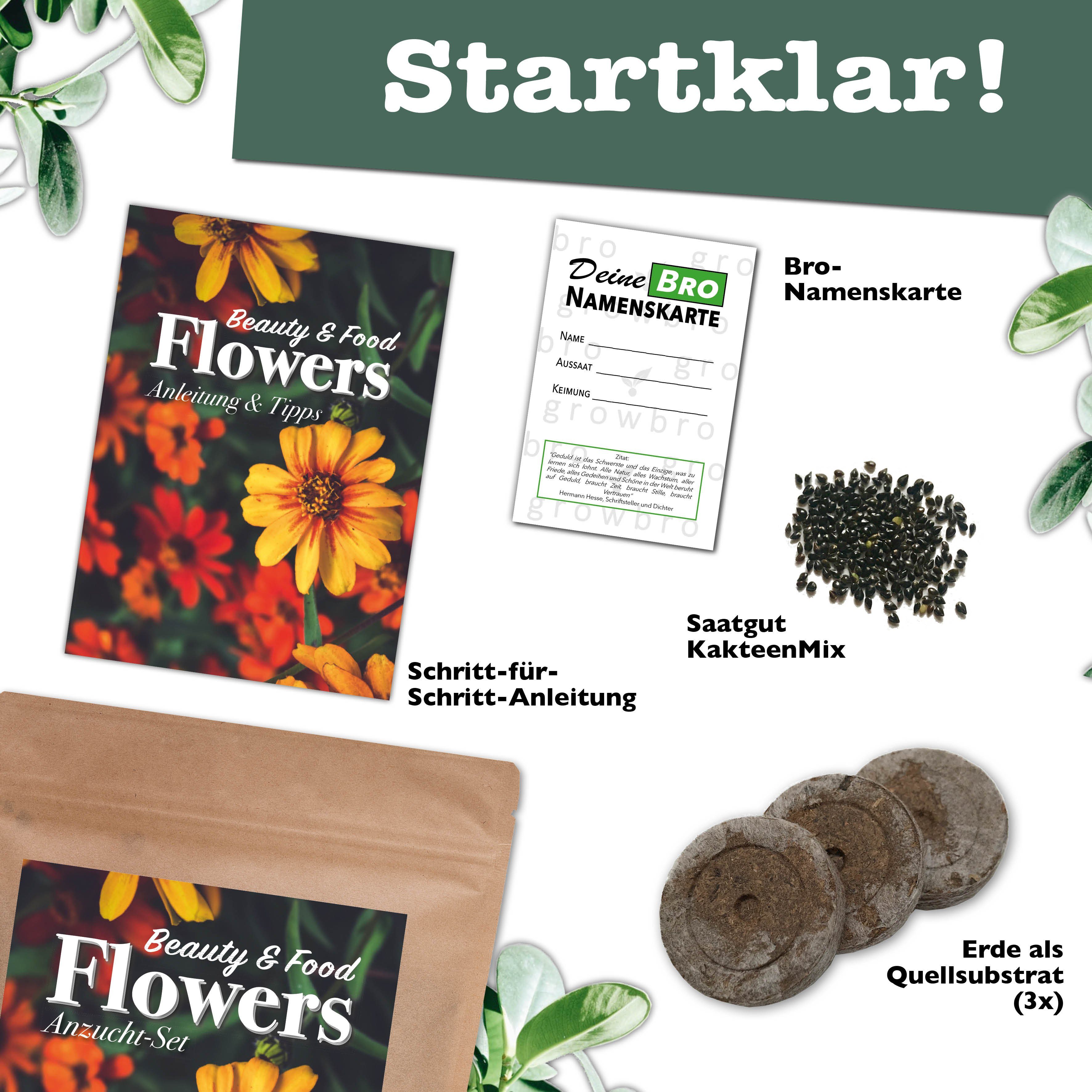 growbro Gartenpflege-Set 3 X Flower Light Anzuchtset - Züchte deinen neuen BRO, Bekannt aus Tik Tok