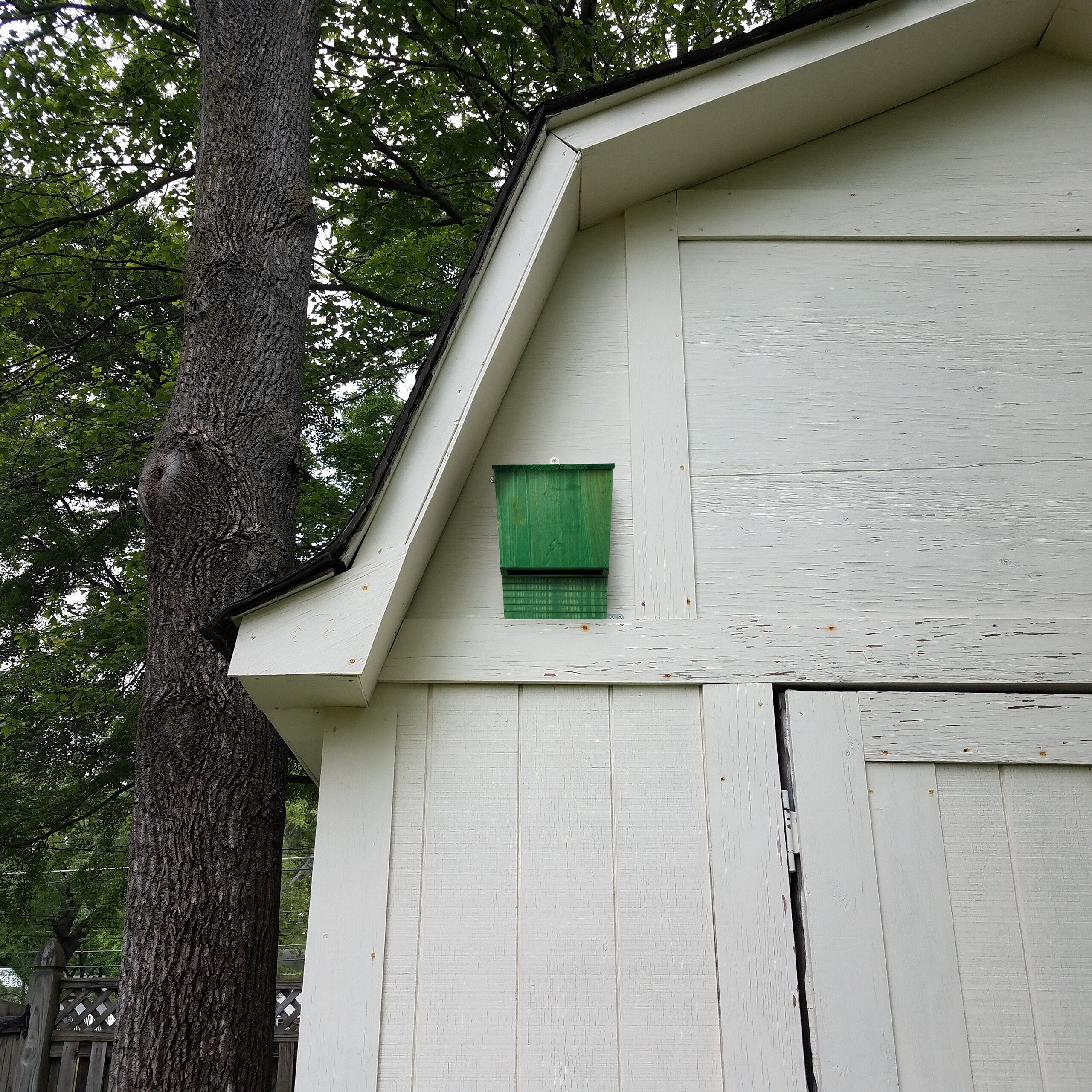 aus Grüner Fledermauskasten Holz relaxdays Vogelhaus