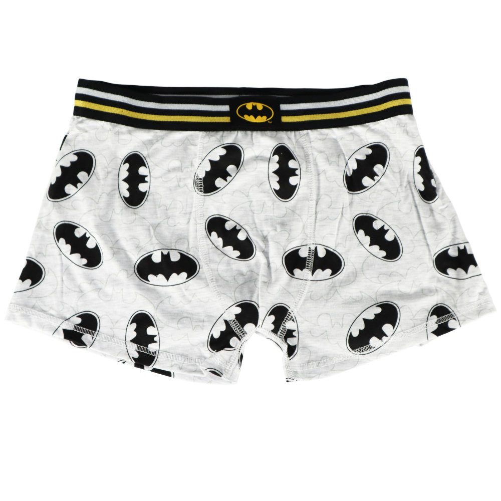 DC Comics Boxershorts DC Comics Batman Herren Boxershorts Unterhose 2er Pack (2-St) Gr. S bis XXL
