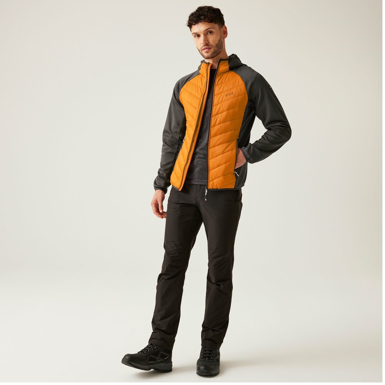 Regatta Softshelljacke Hybrid Steppjacke Andreson VIII Hybrid