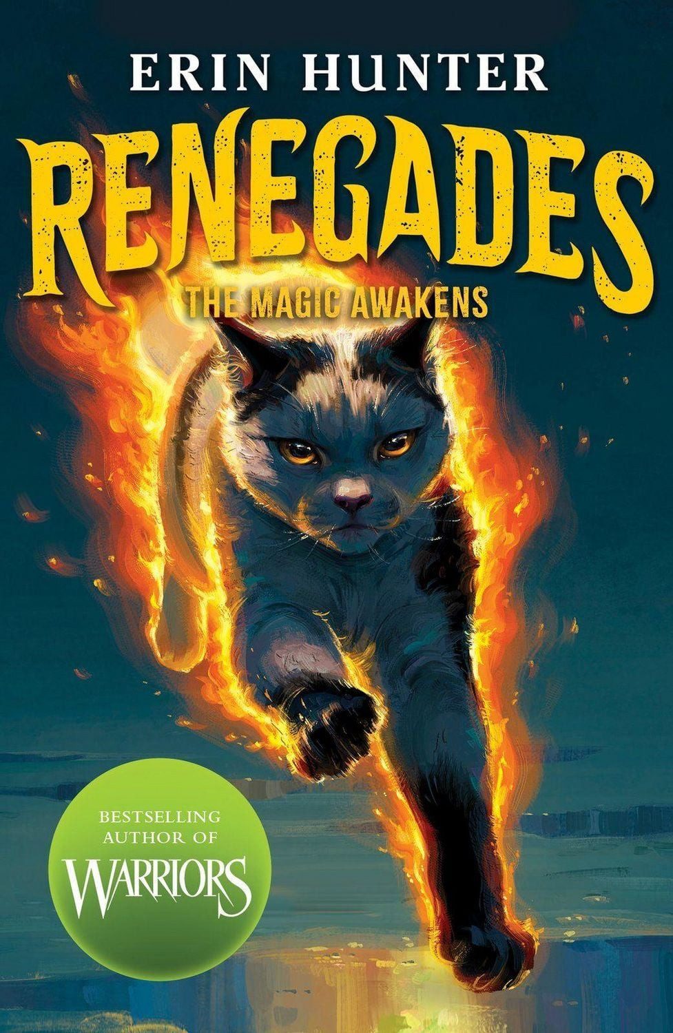 Renegades: The Magic Awakens / Erin Hunter
