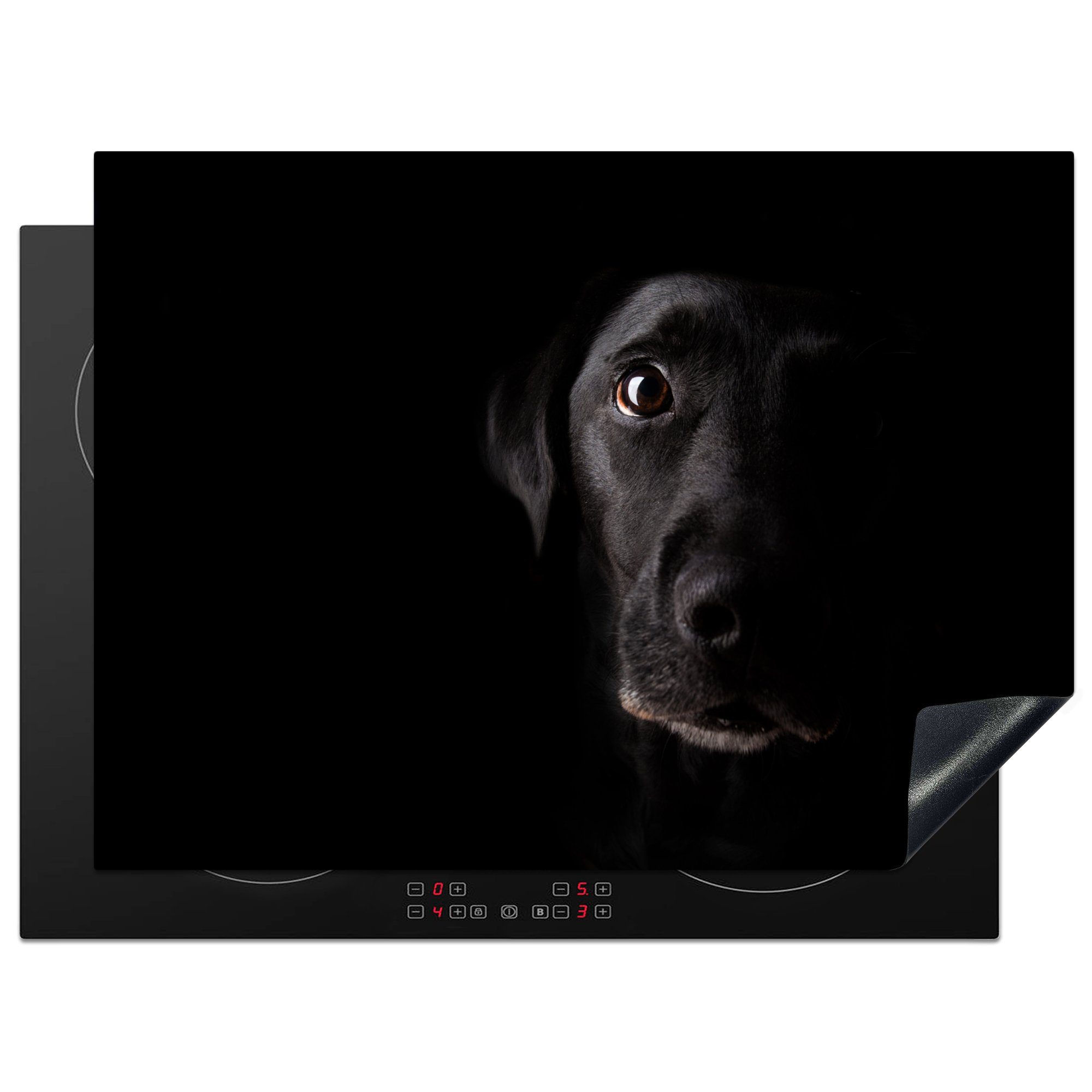 MuchoWow Herdblende-/Abdeckplatte Ein schwarzer Labrador Retriever auf schwarzem Hintergrund, Vinyl, (1 tlg), 70x52 cm, Mobile Arbeitsfläche nutzbar, Ceranfeldabdeckung