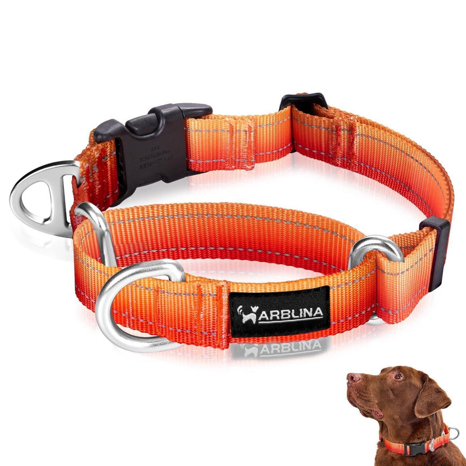 LuxusKollektion Hunde-Halsband Hundehalsband Martingale reflektierend Orange M