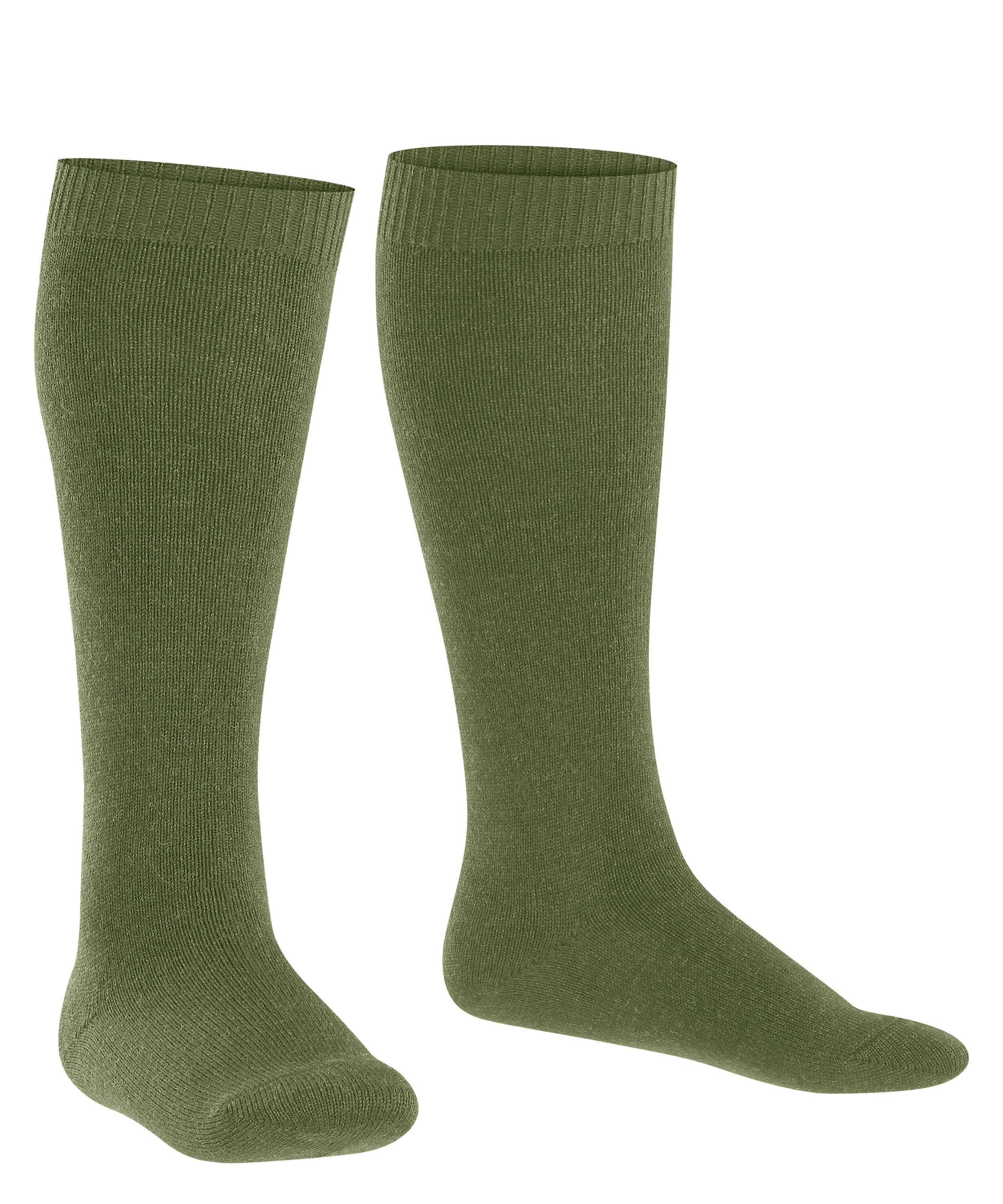 Wool (7681) green Kniestrümpfe FALKE sern (1-Paar) Comfort Baumwolle/Merinowolle-Mix