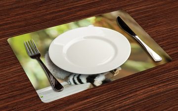 Platzset, Waschbare Stoff Esszimmer Küche Tischdekorations Digitaldruck, Abakuhaus, (4-teilig, 4 Teilig-St., Set aus 4x), Lemur Aperture Foto Säugetier Tier