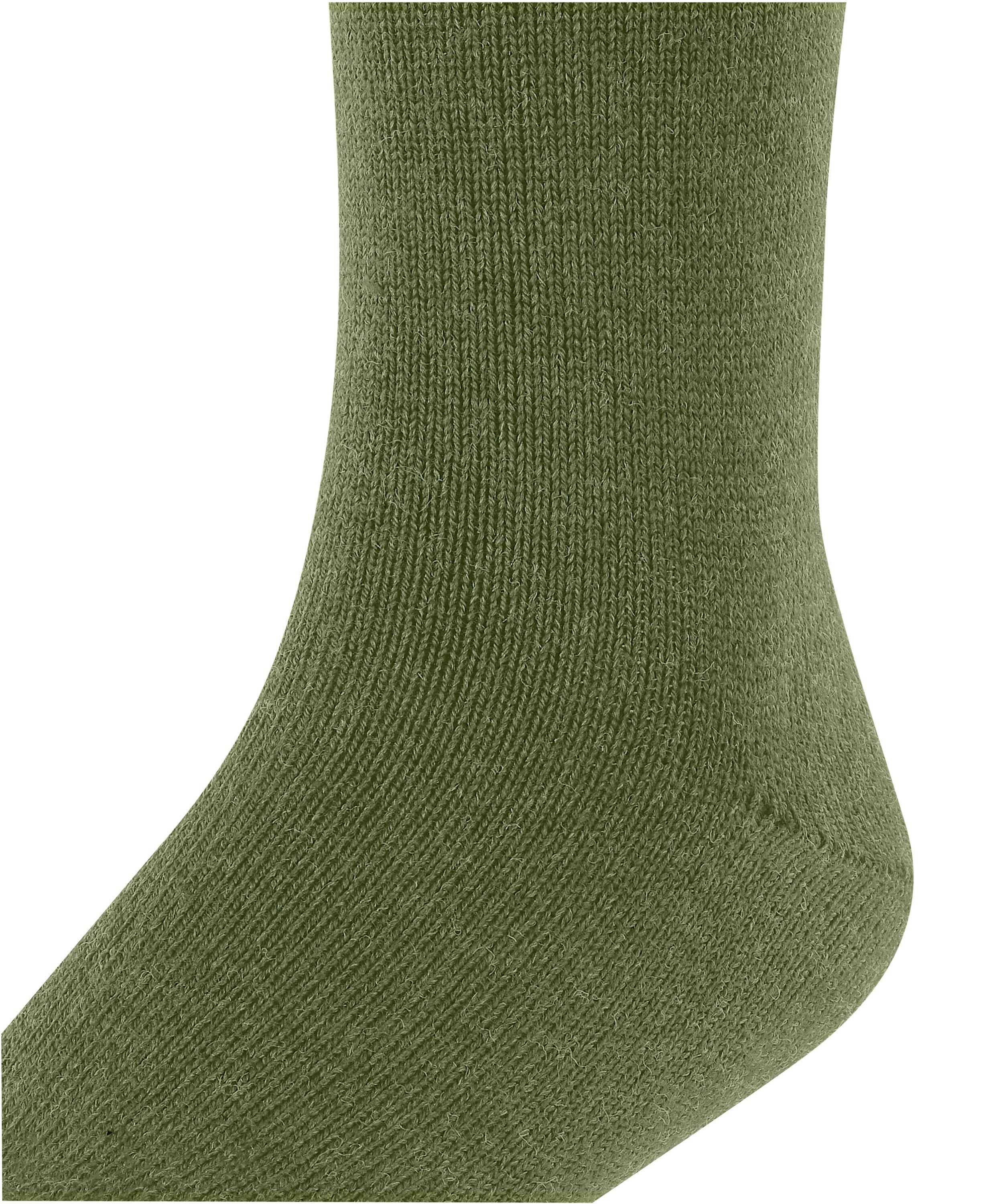 Wool (7681) green Kniestrümpfe FALKE sern (1-Paar) Comfort Baumwolle/Merinowolle-Mix