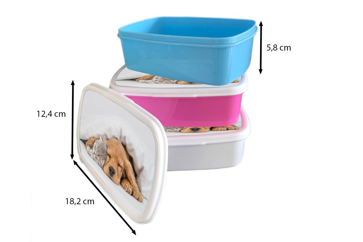 Decke, Erwachsene, - MuchoWow Lunchbox (2-tlg), Katze Brotdose für Kunststoff, Mädchen, Kunststoff Kinder, Brotbox rosa Snackbox, - Hund Haustiere -